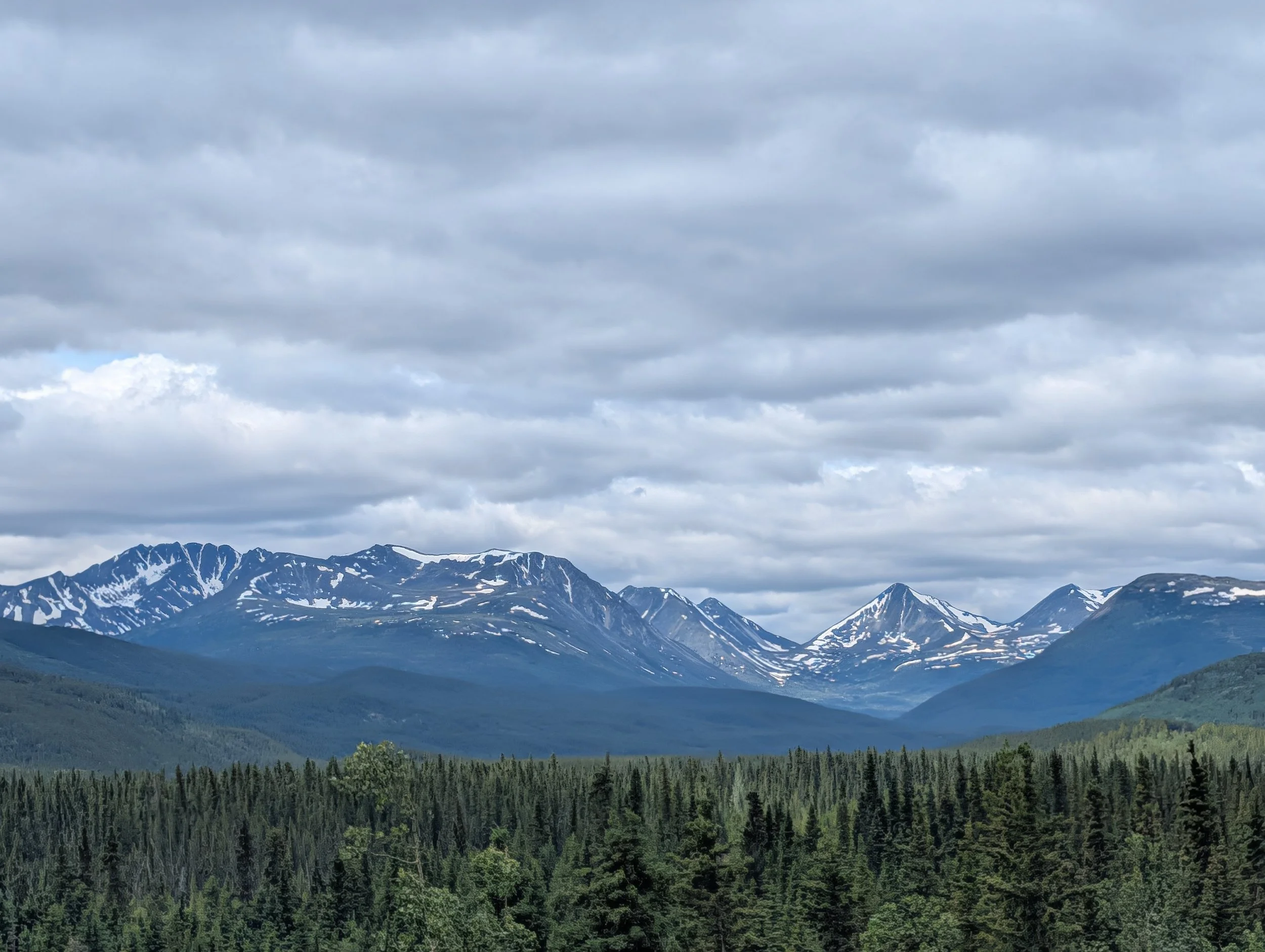 PXL_20260704_192557755.jpg