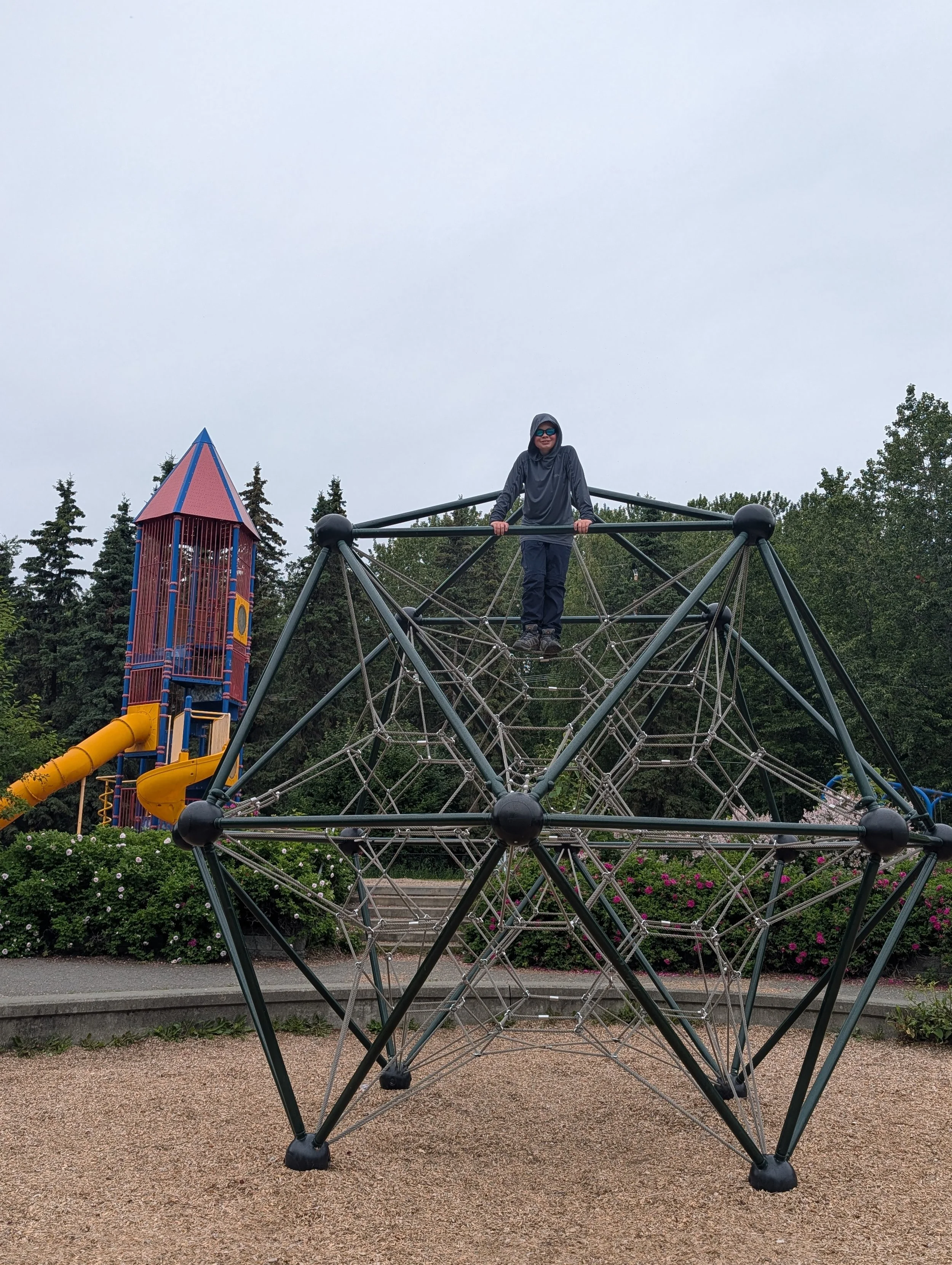PXL_20260711_233850515.jpg