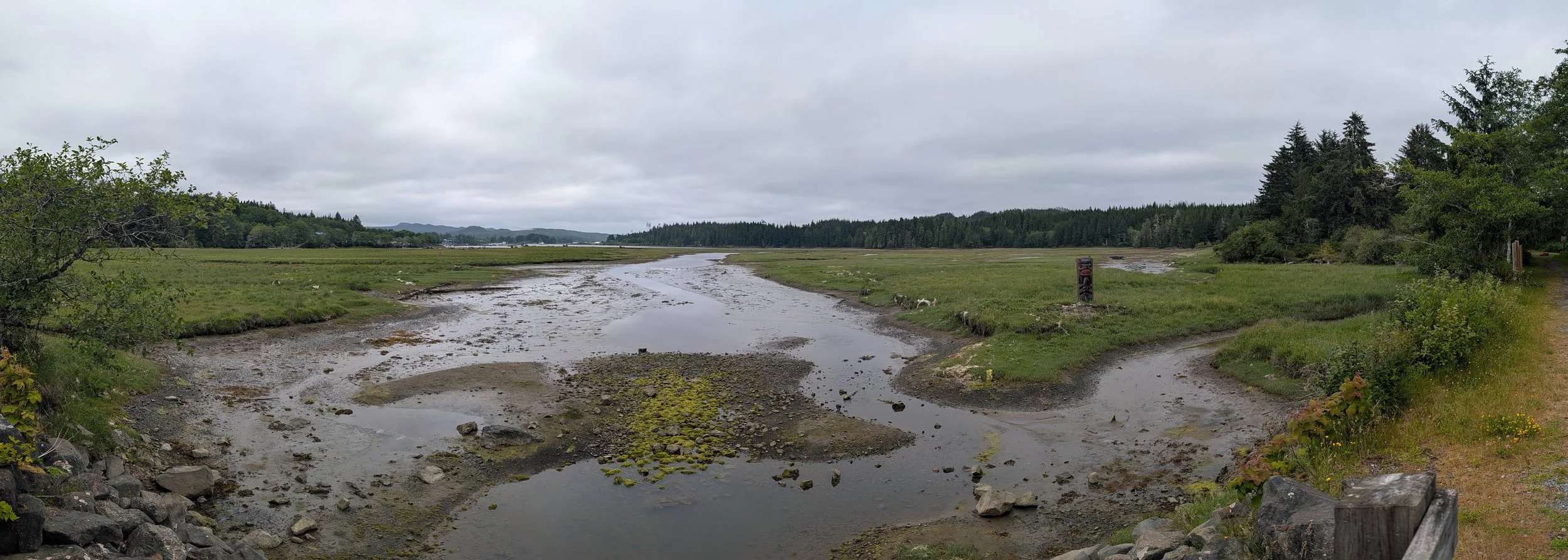 PXL_20260627_312916244.PANO.jpg