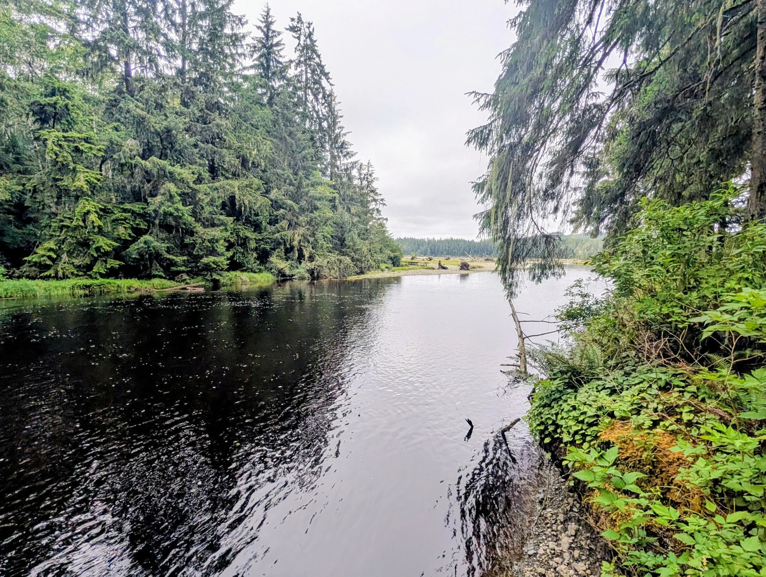 PXL_20260627_314237526~2.jpg