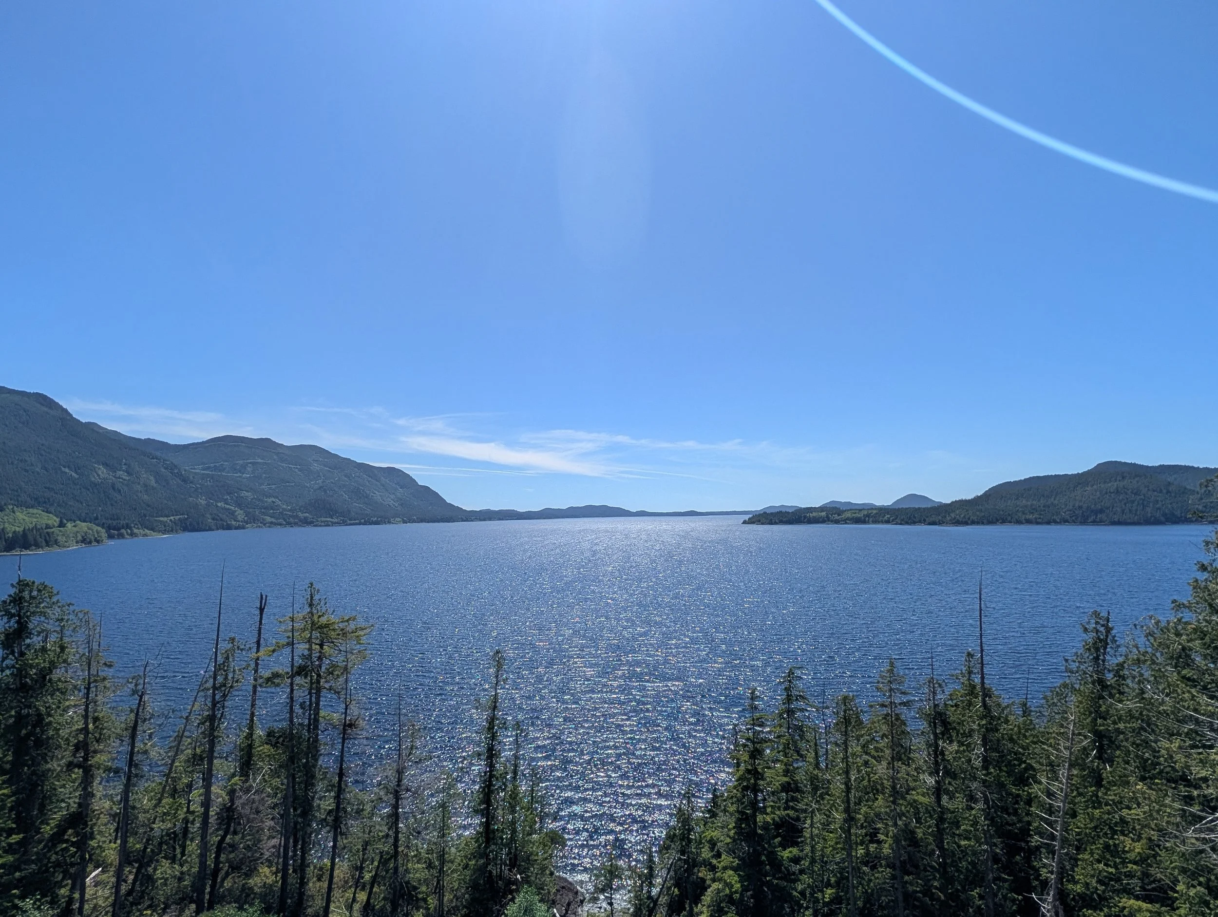 PXL_20260618_223212332.jpg