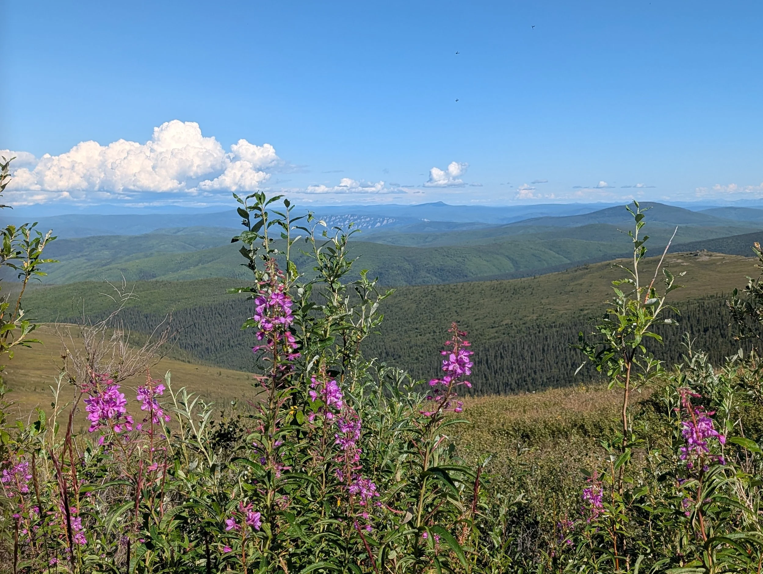 PXL_20260807_192255565.jpg