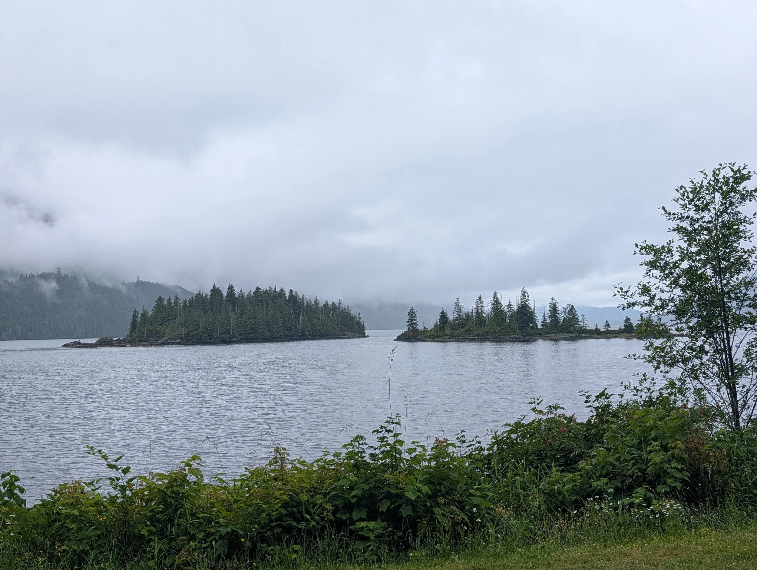 PXL_20260626_205825632.jpg