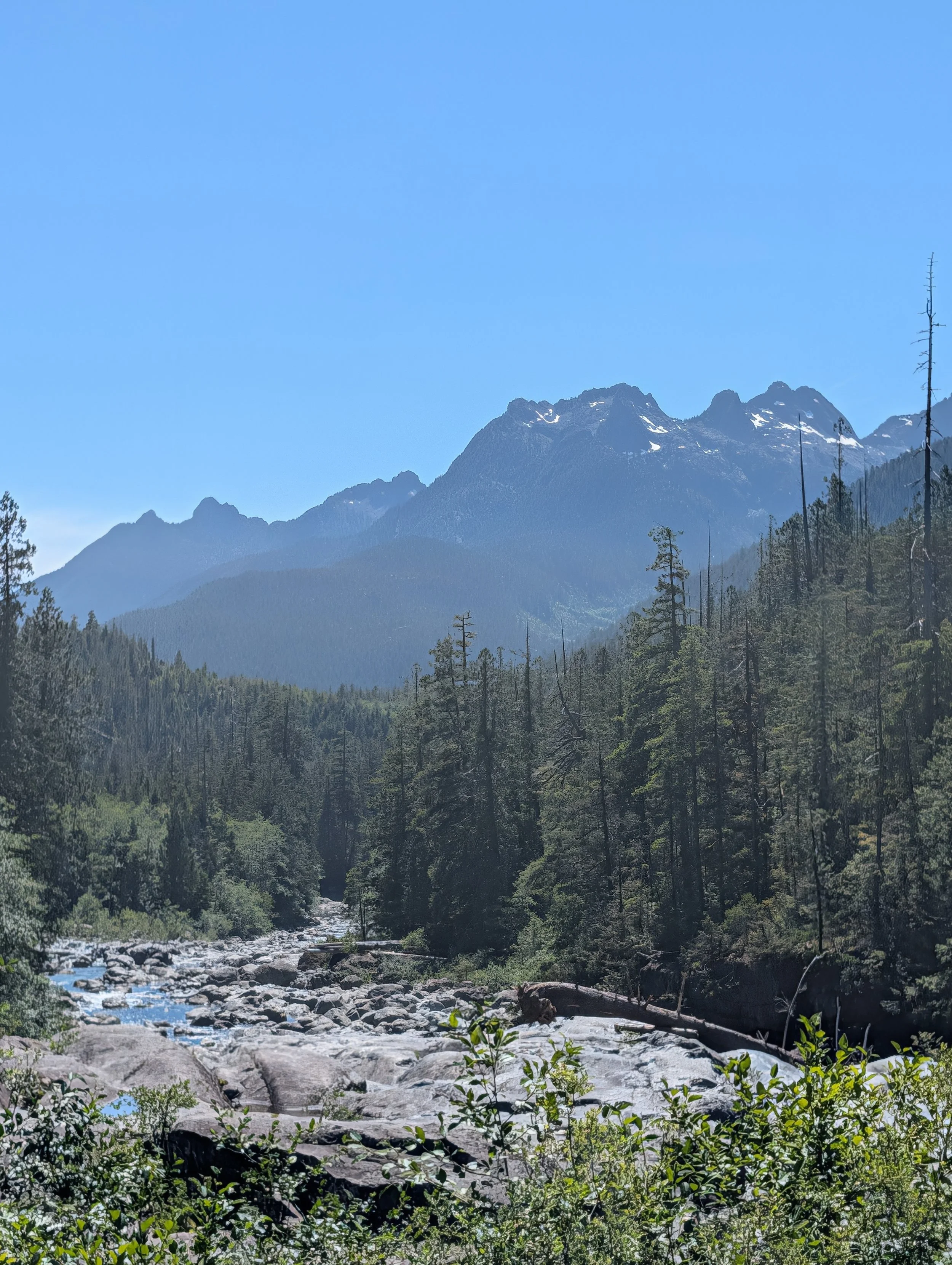 PXL_20260618_220253287.jpg