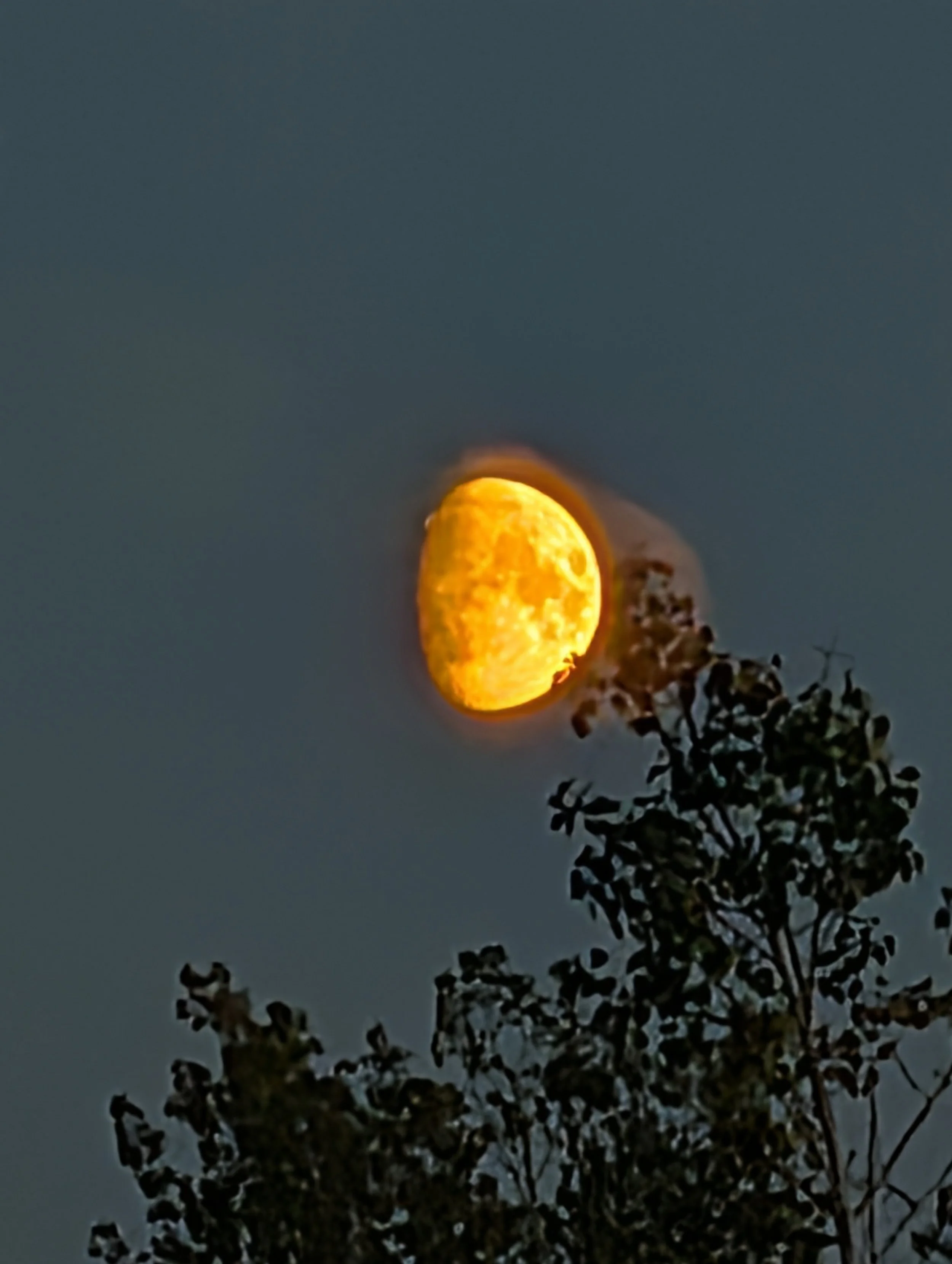 PXL_20260822_335025610.NIGHT.jpg
