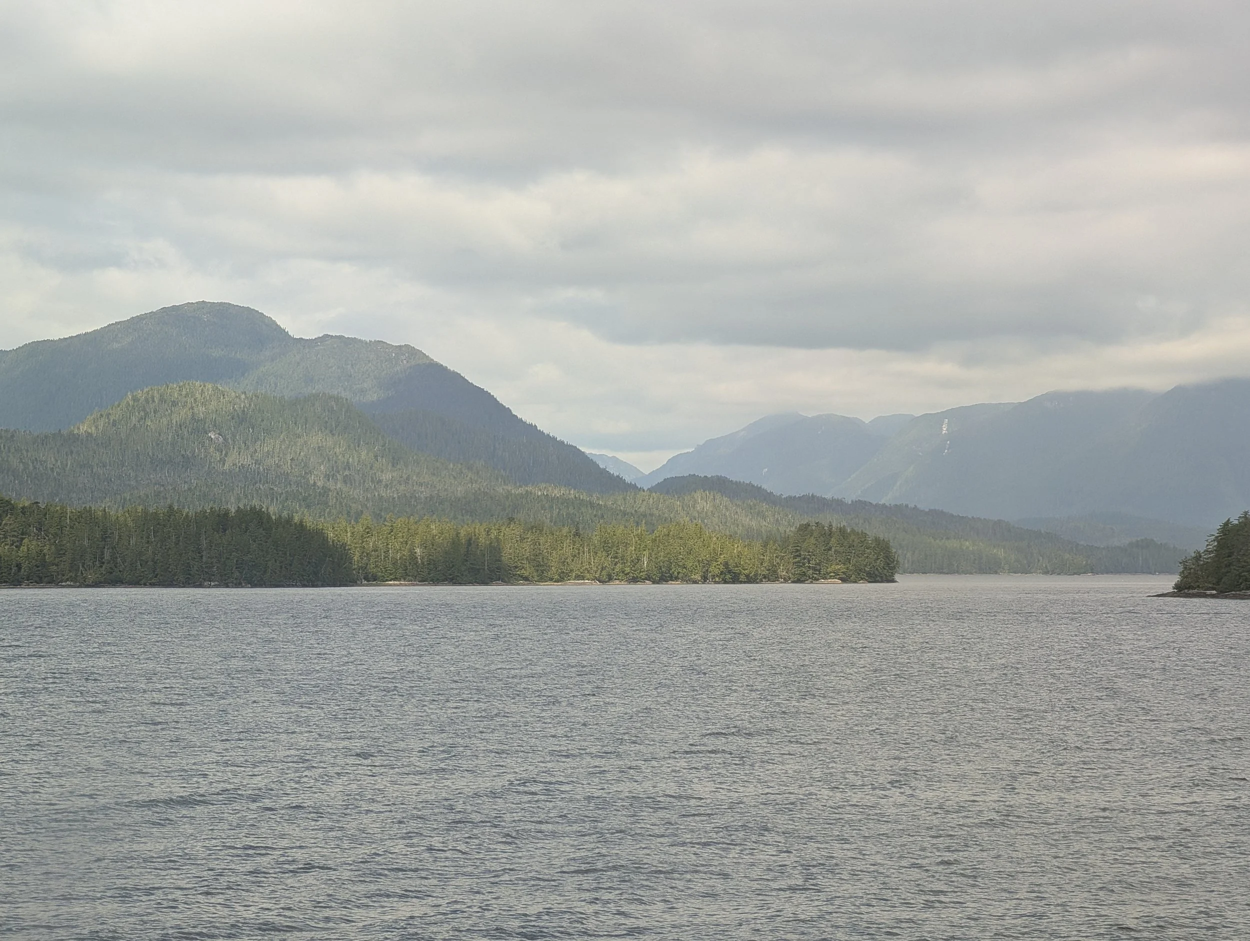 PXL_20260629_220157311.jpg