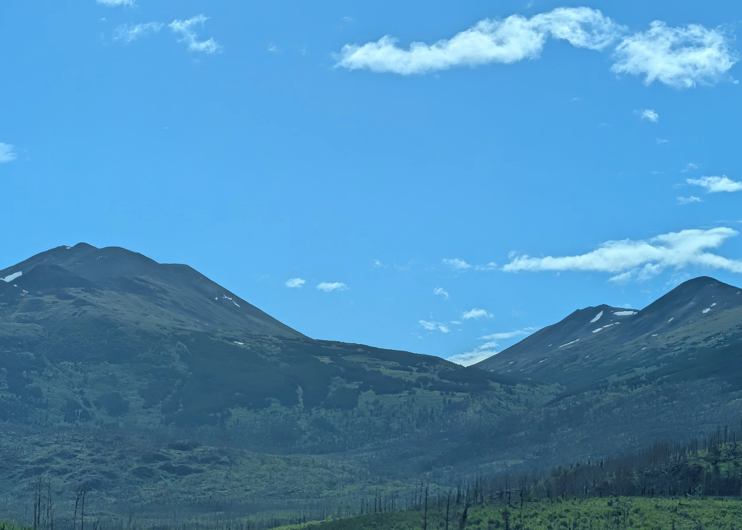 PXL_20260723_201051594.jpg