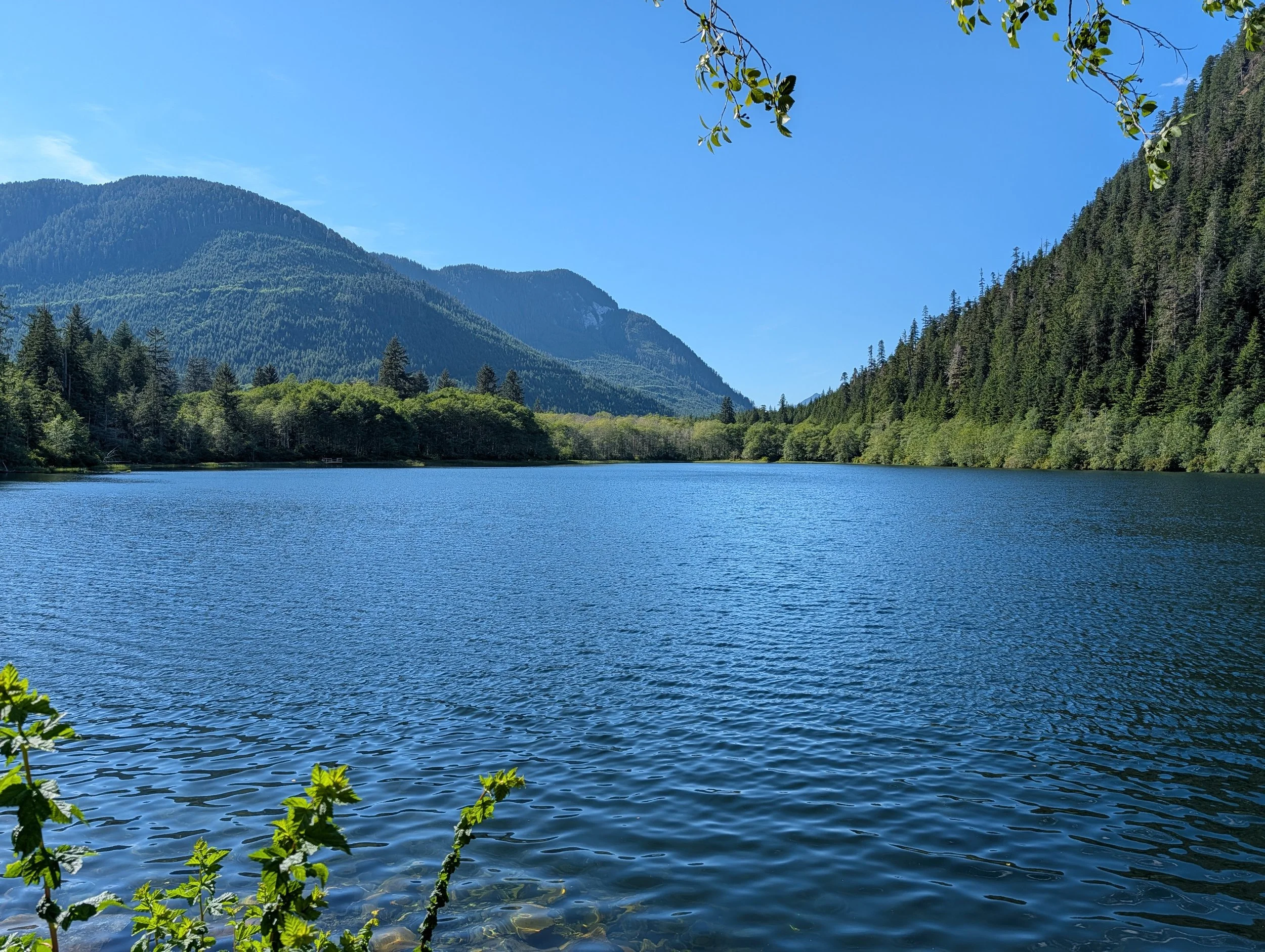 PXL_20260623_304537310.jpg
