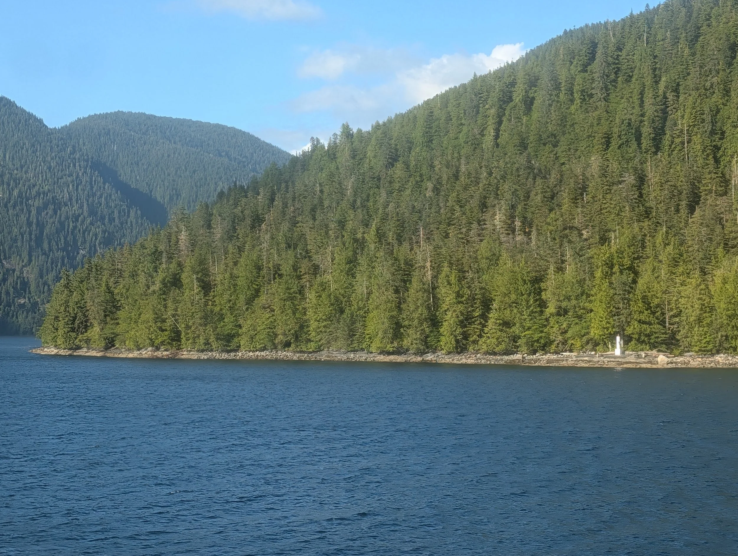 PXL_20260629_412947799.jpg
