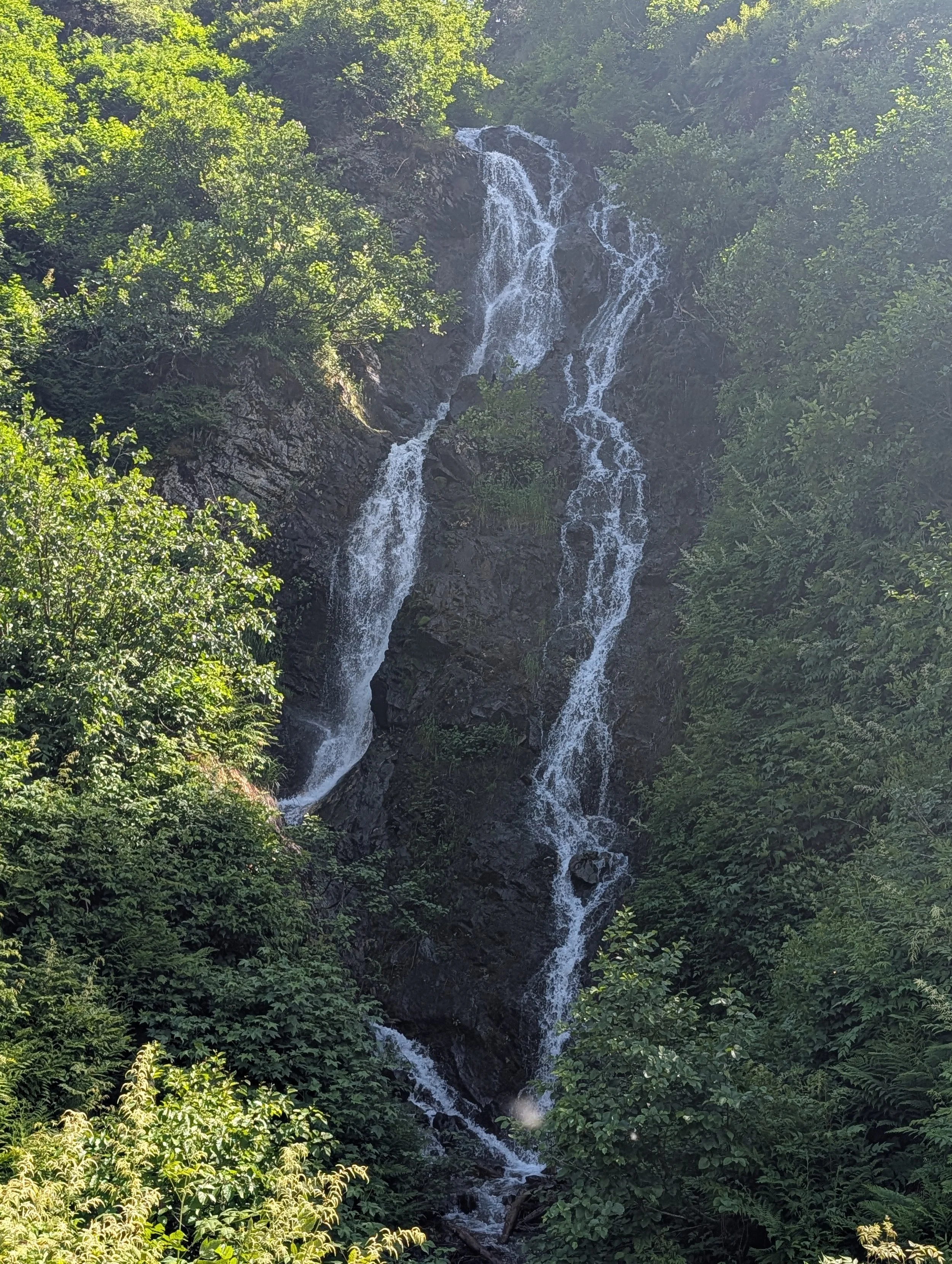 PXL_20260702_220655013.jpg