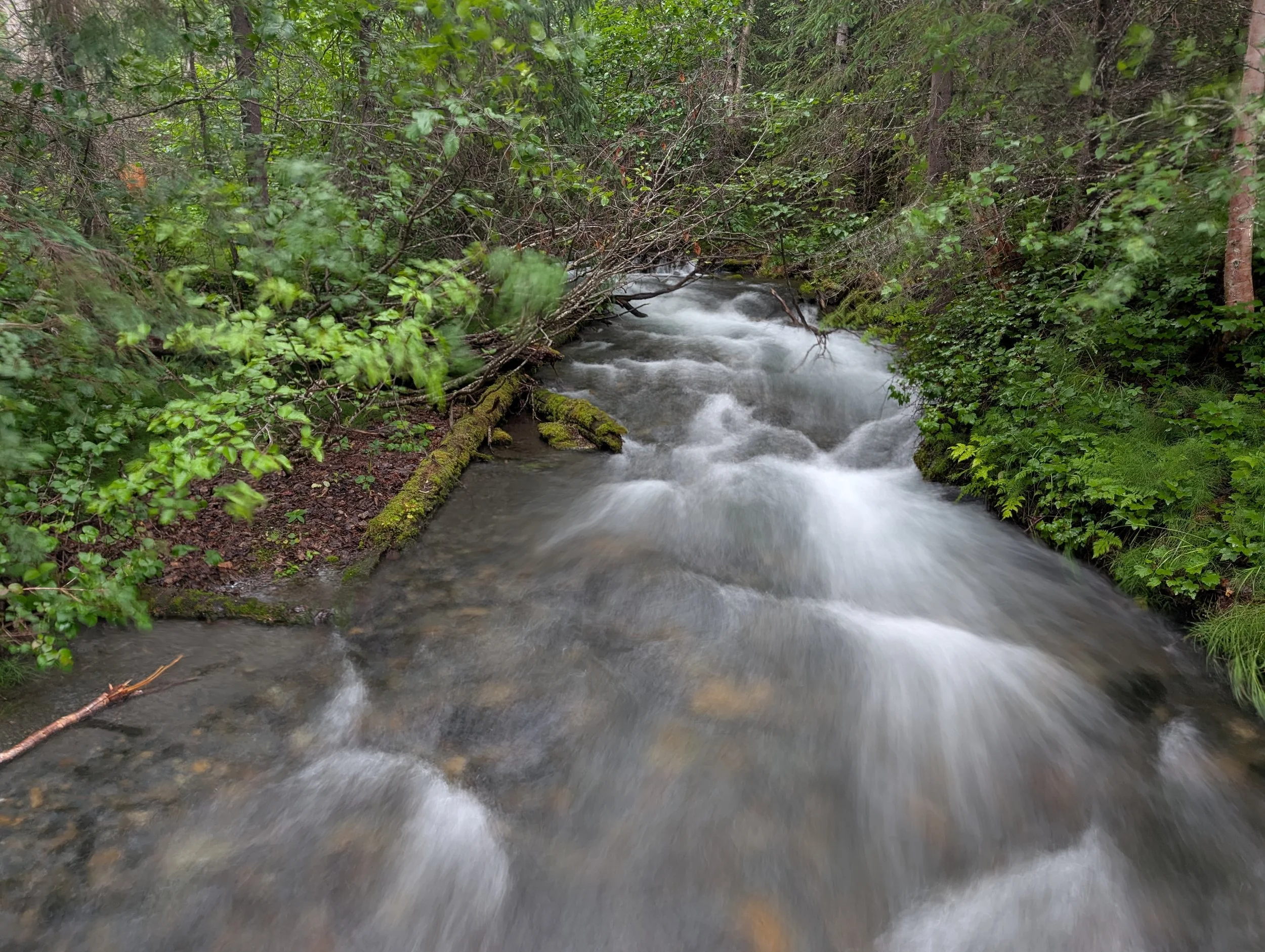 PXL_20260718_205156876.LONG_EXPOSURE-01.jpg