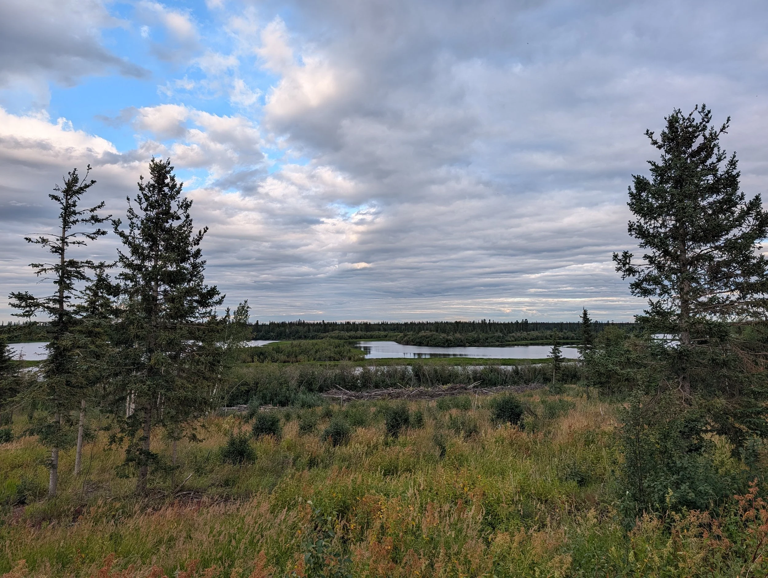 PXL_20260808_324452078.jpg