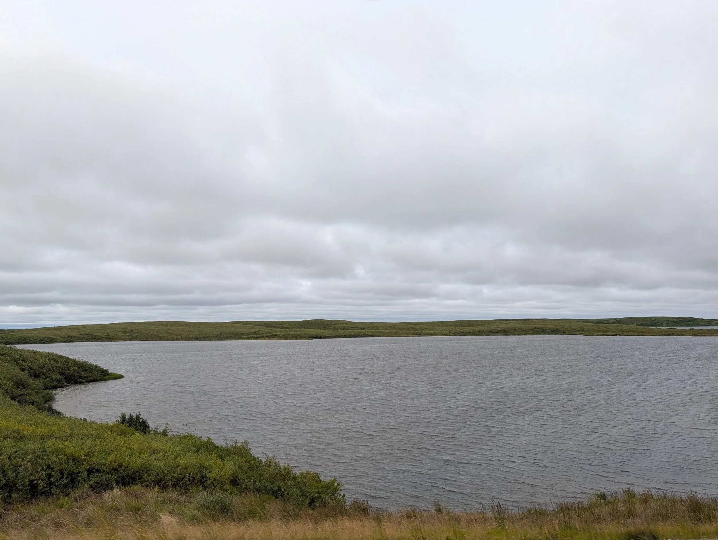 PXL_20260810_173736452~2.jpg