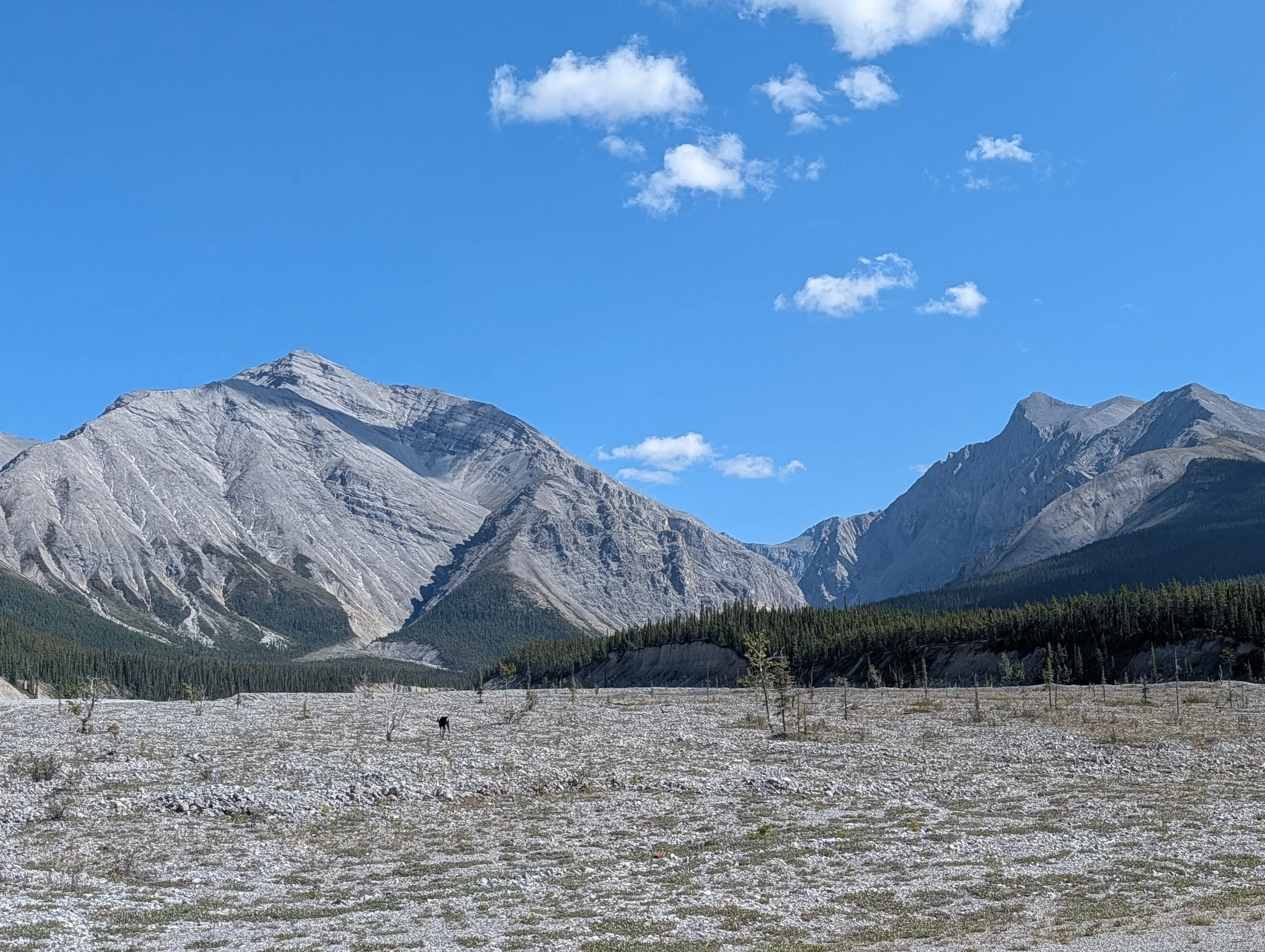 PXL_20260820_213921190.jpg