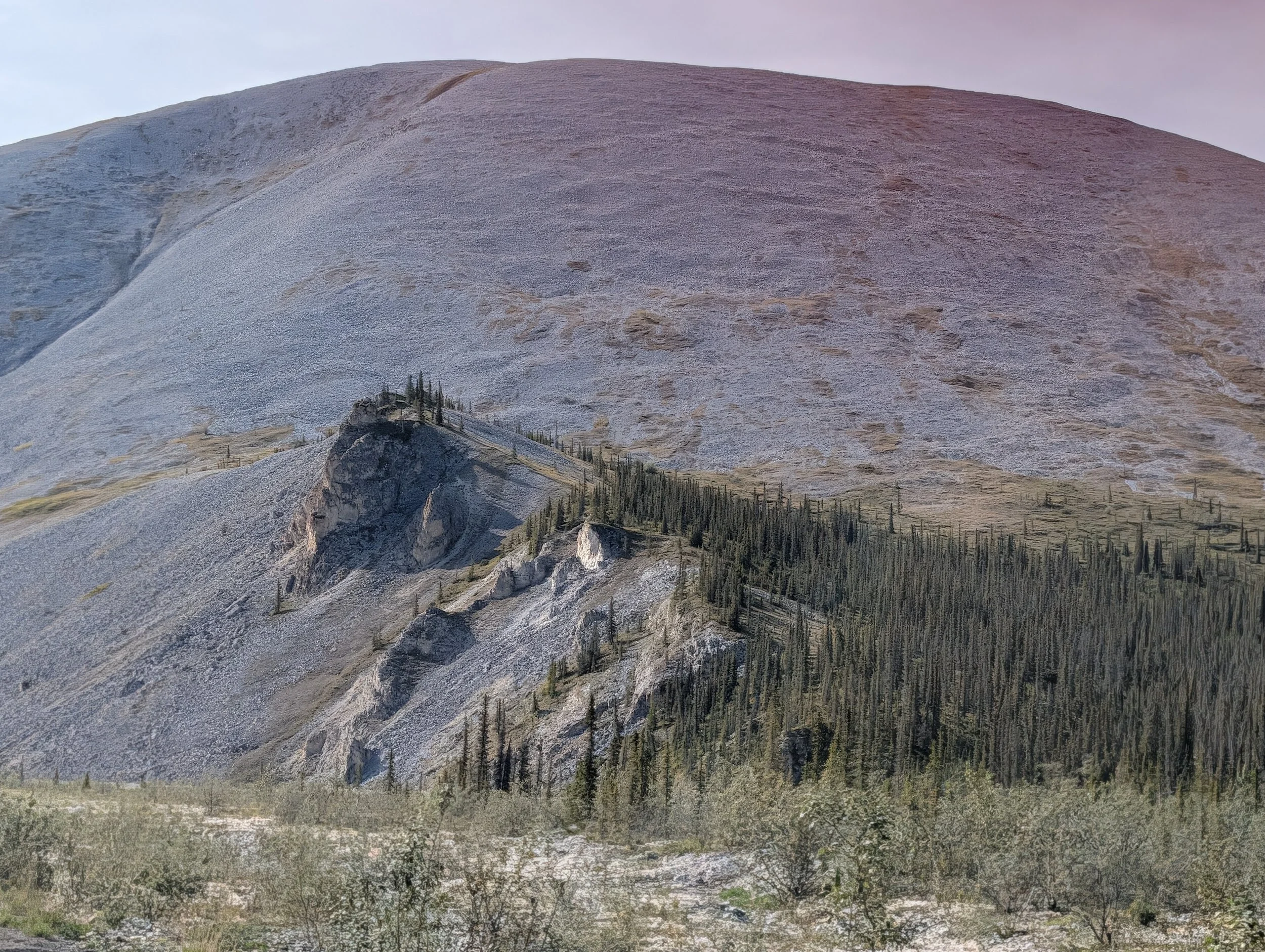 PXL_20260812_185136303.jpg