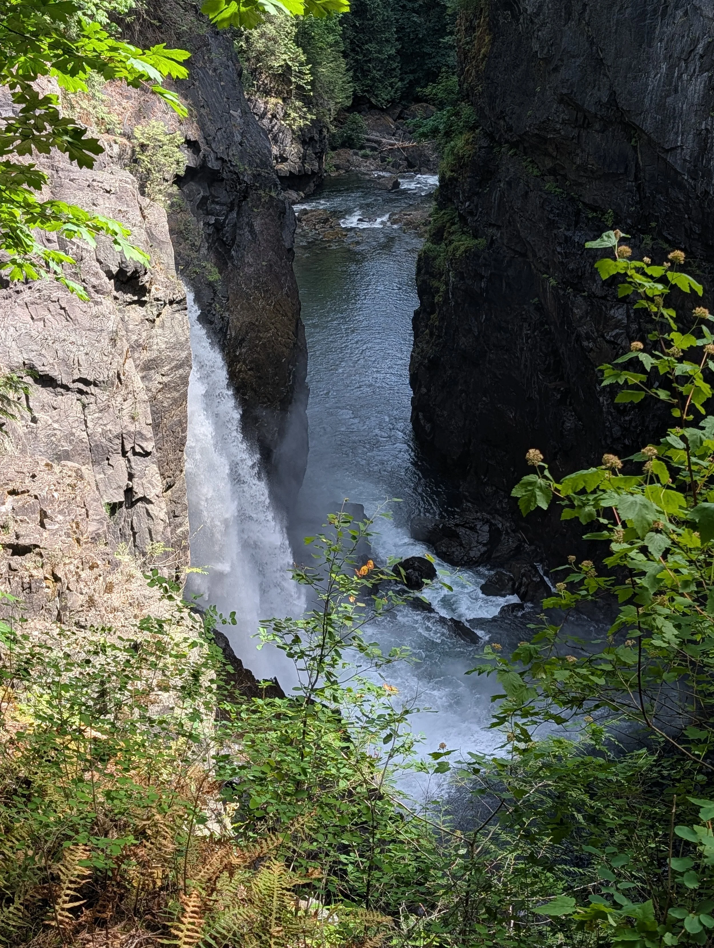 PXL_20260622_175948909.jpg