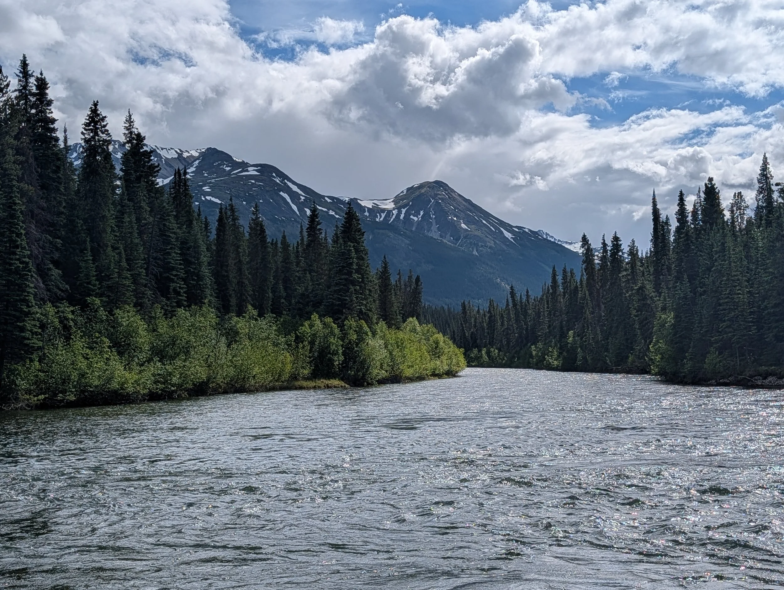PXL_20260703_234559784.jpg