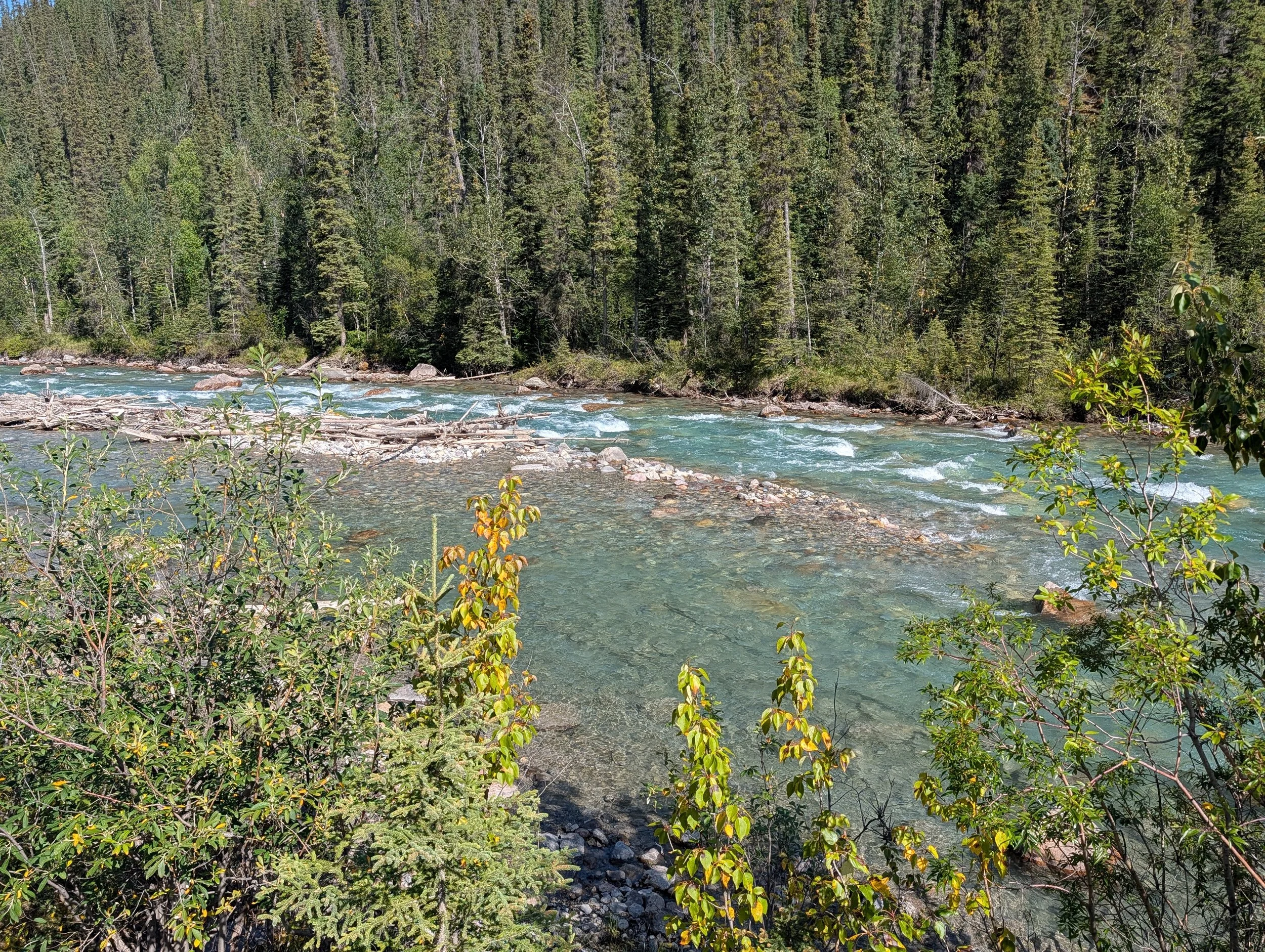 PXL_20260820_205056499.jpg