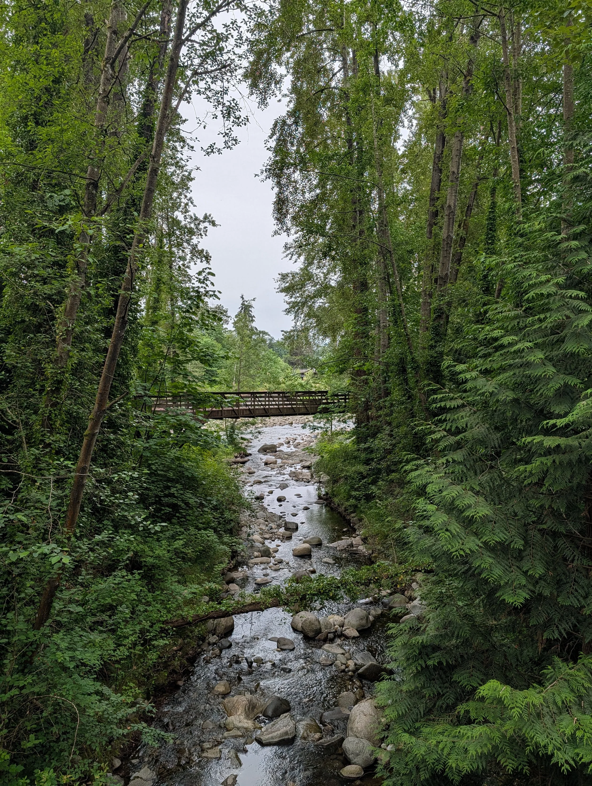PXL_20260608_165709194.jpg