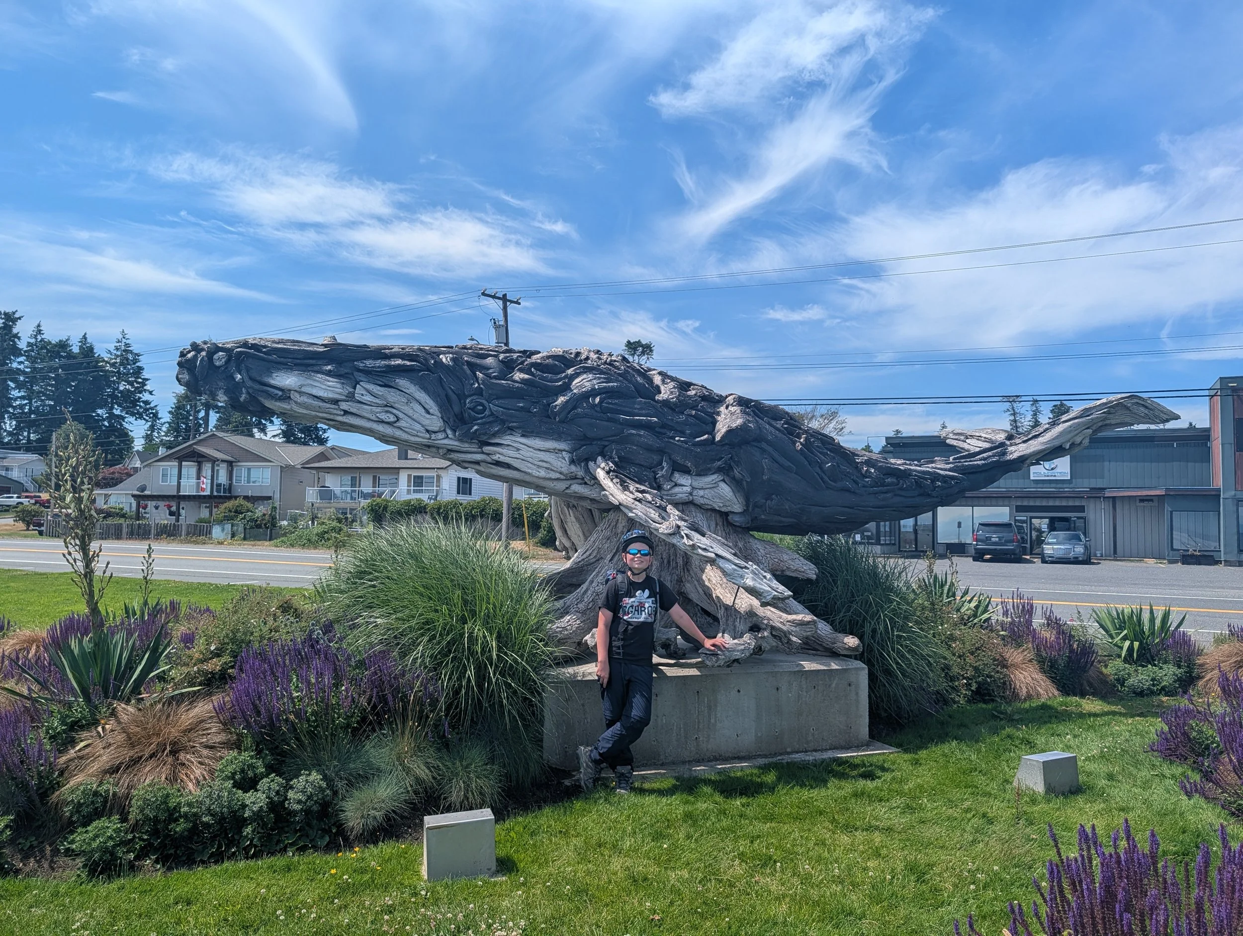 PXL_20260624_193822542.jpg