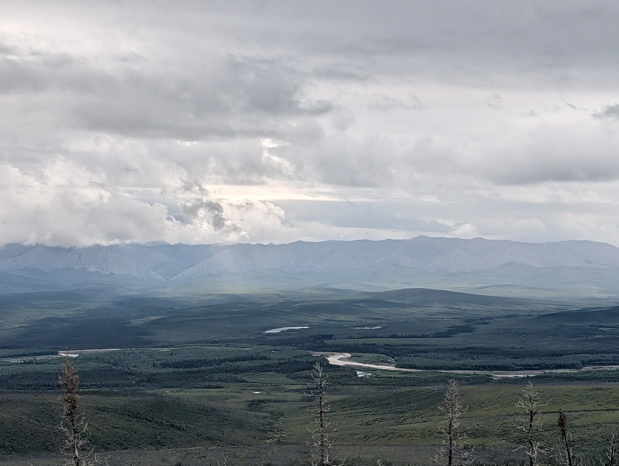PXL_20260808_190935633.jpg