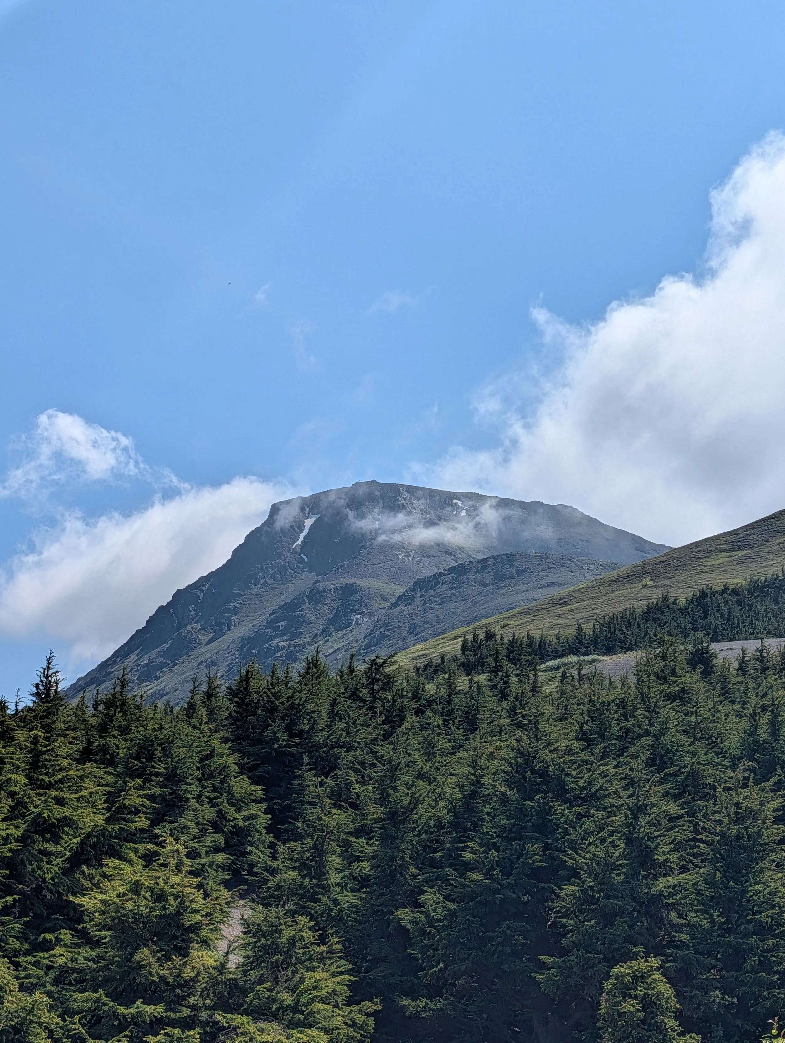 PXL_20260710_222546213.jpg