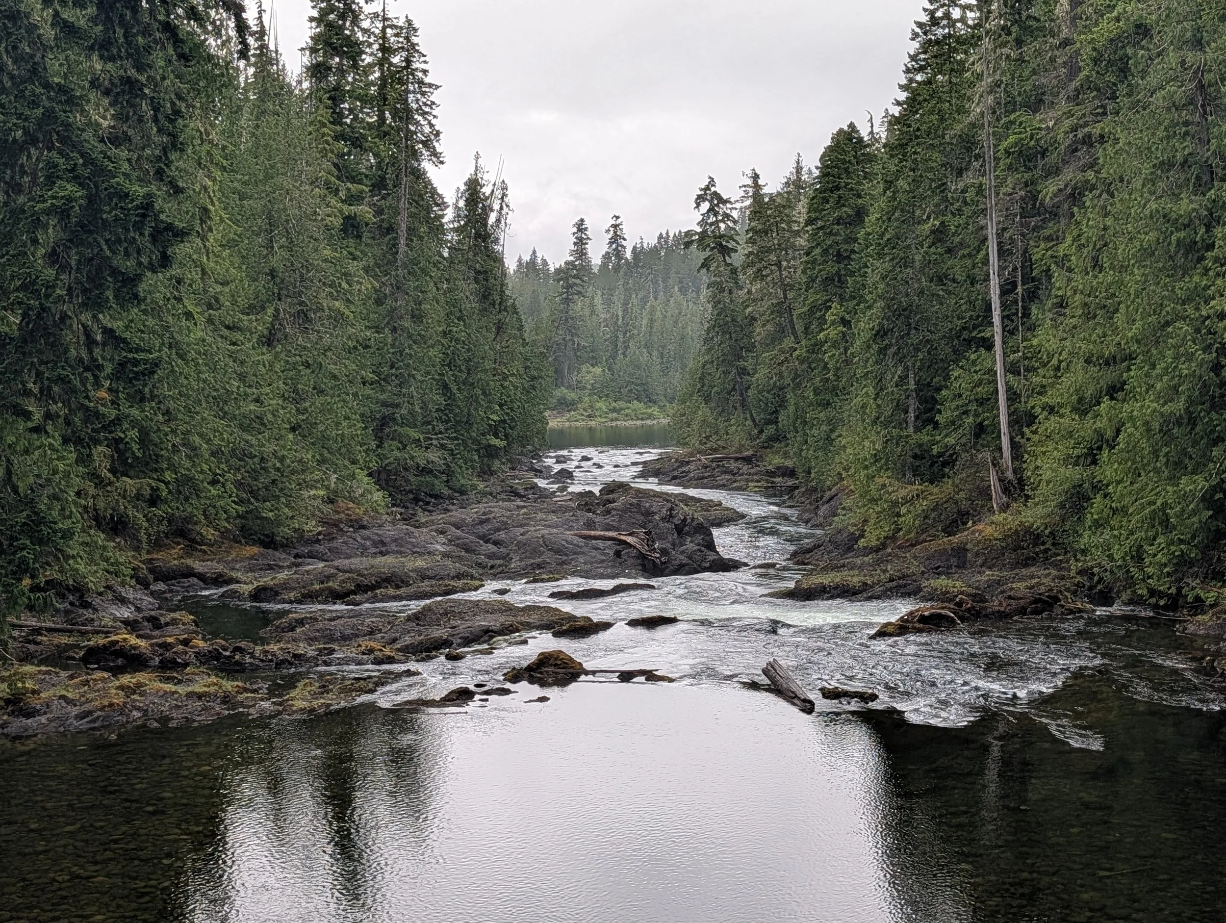 PXL_20260626_223814812.jpg