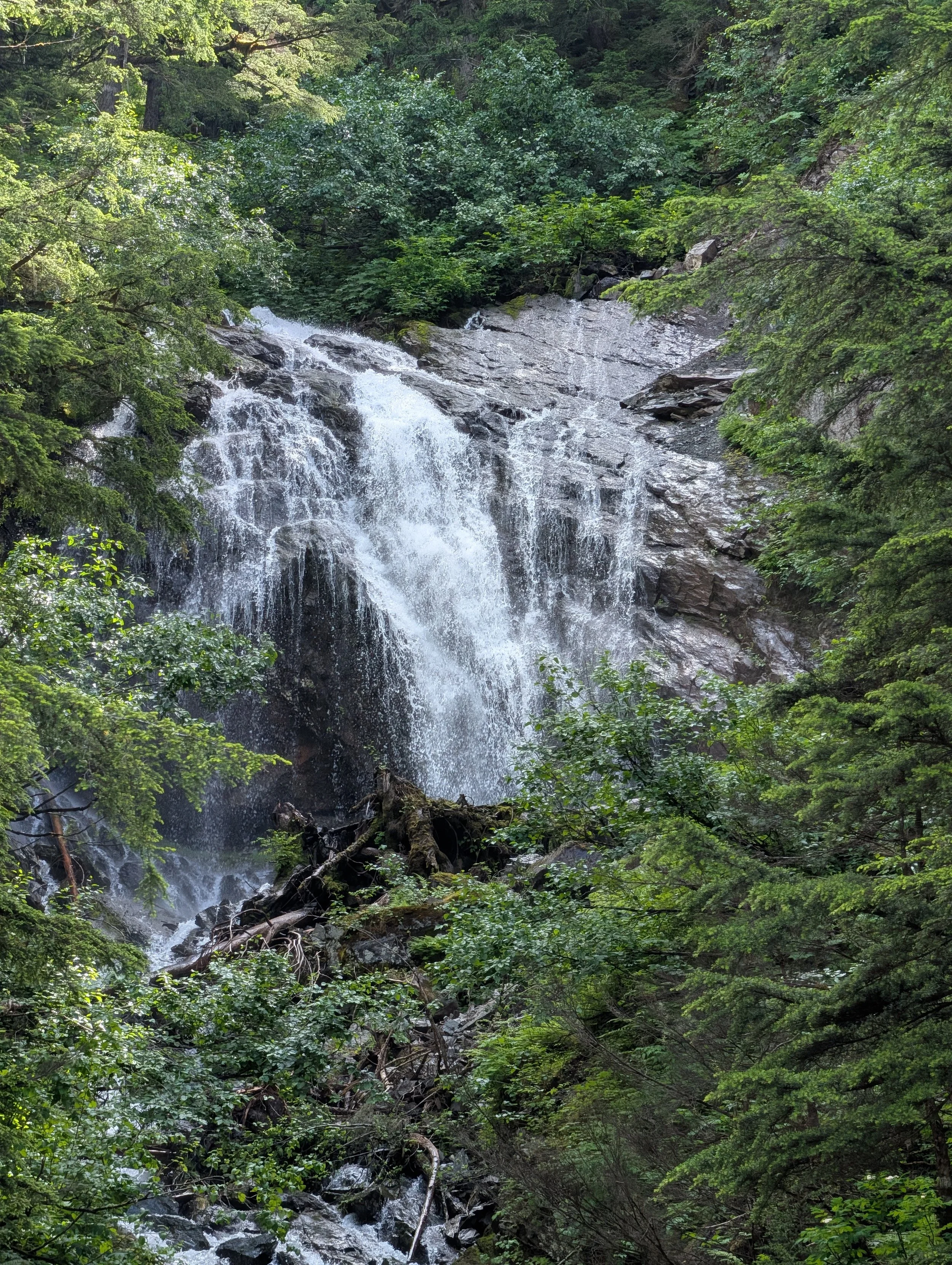 PXL_20260702_194628766.jpg