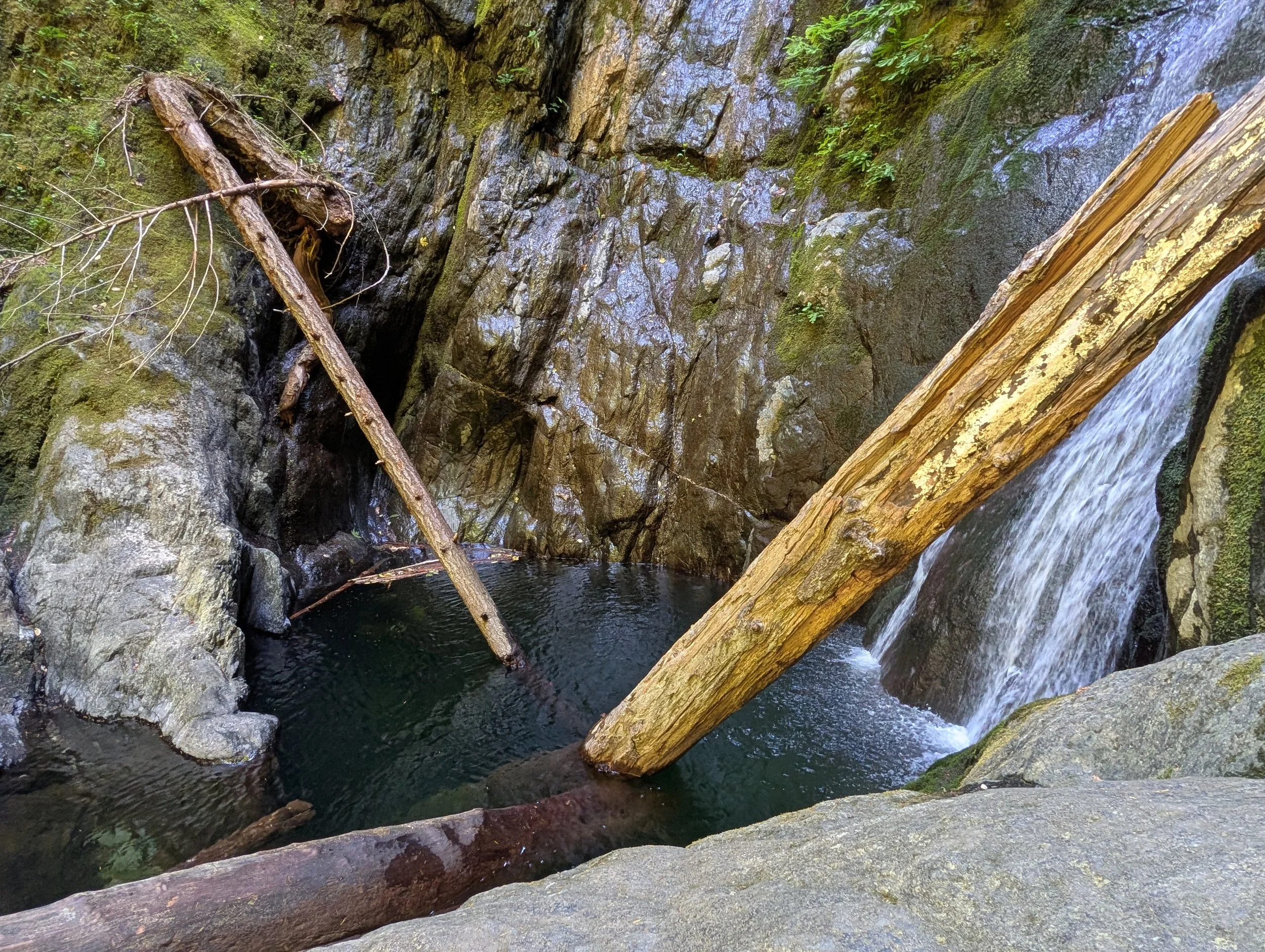 PXL_20260616_204115827.jpg