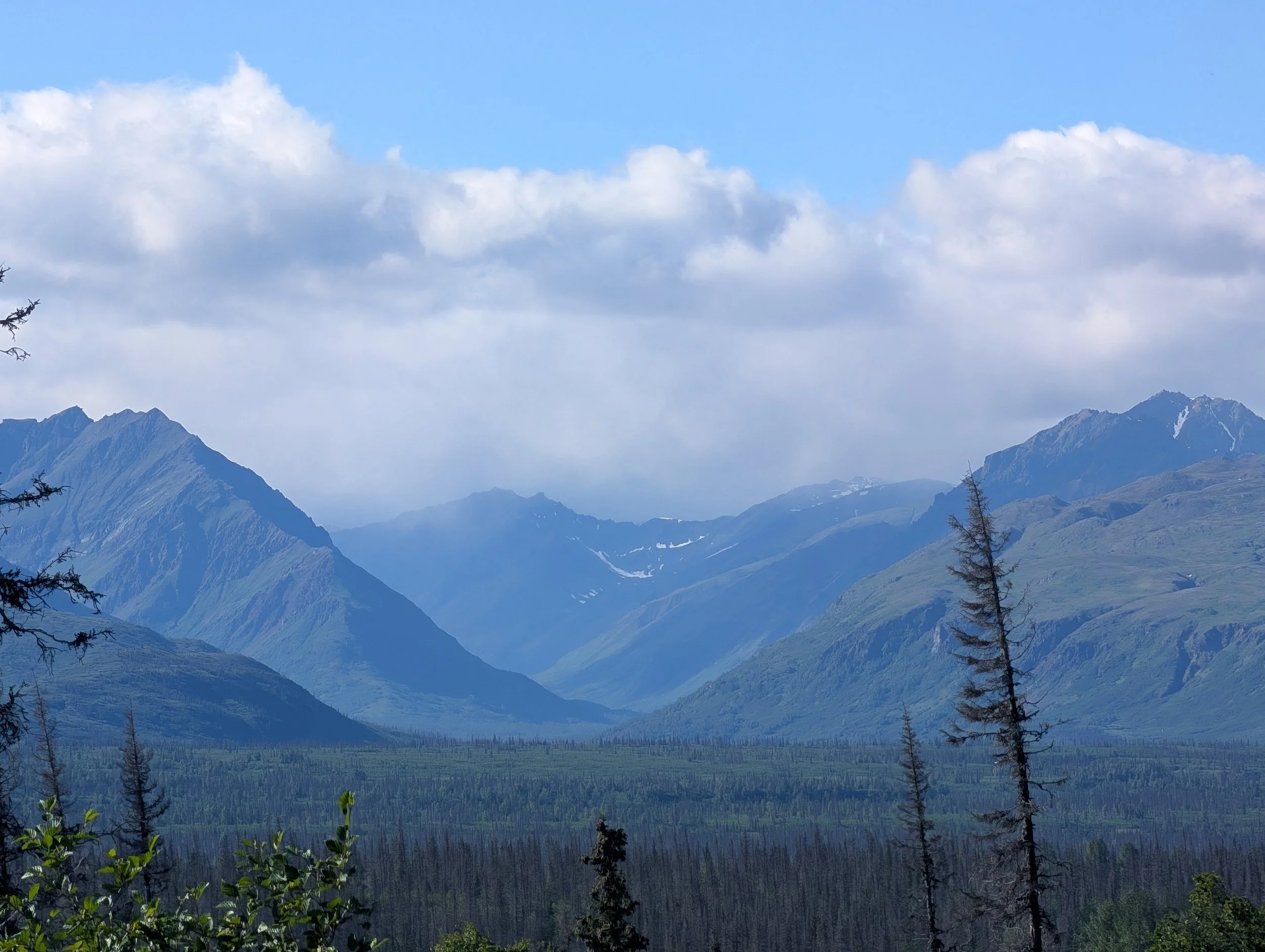 PXL_20260724_321434964.jpg