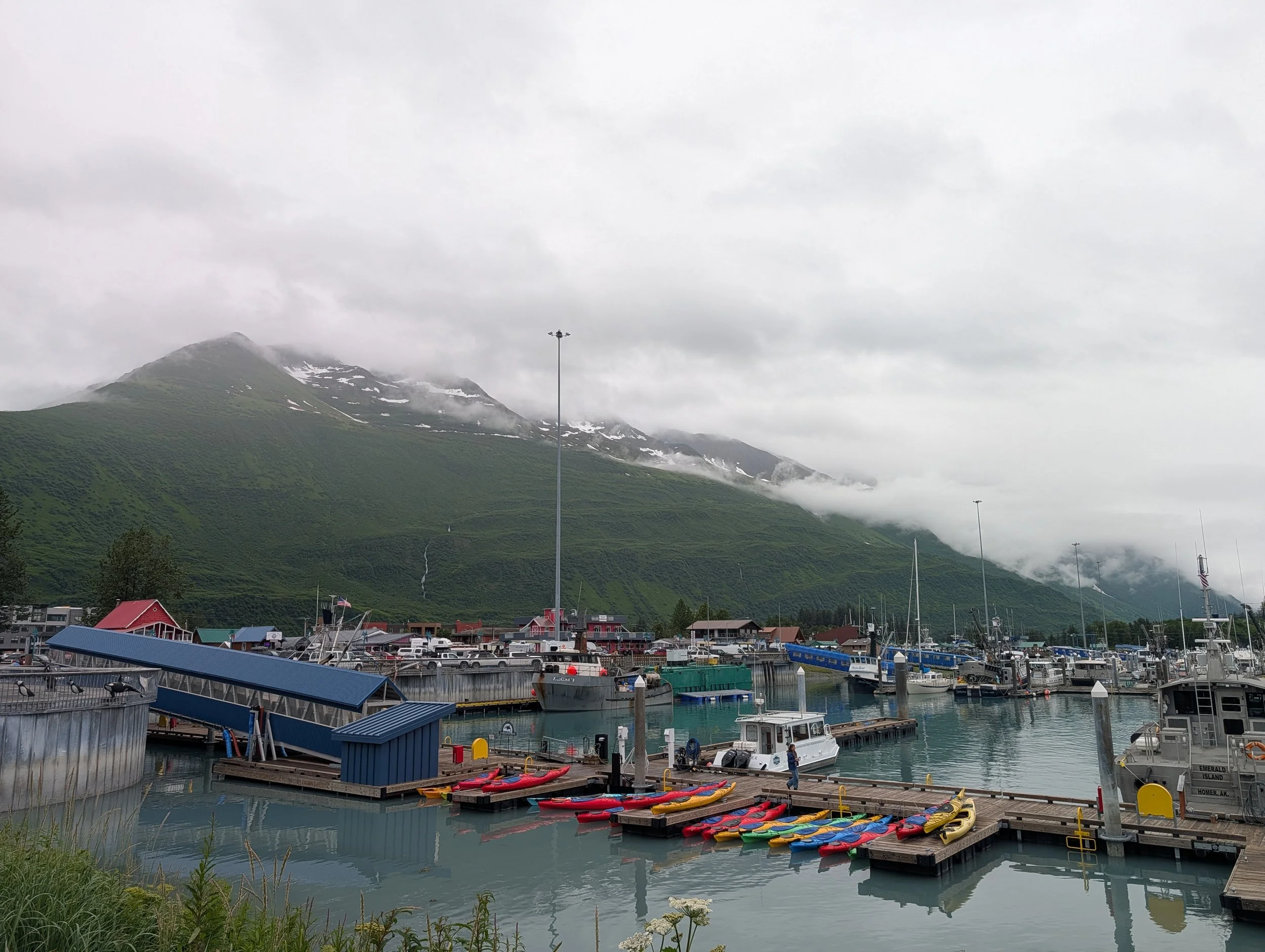 PXL_20260707_310525125.jpg
