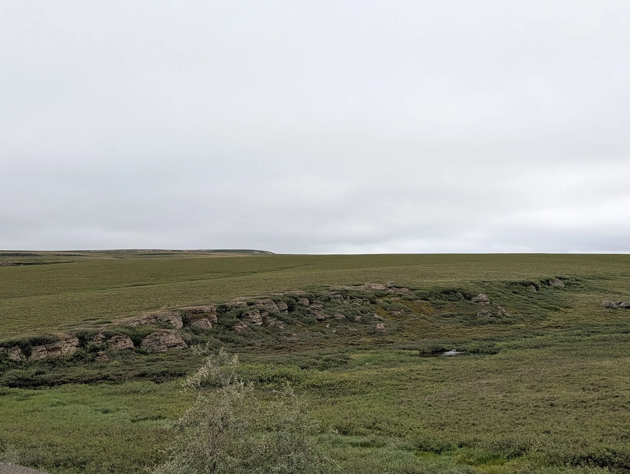 PXL_20260730_194635709.jpg