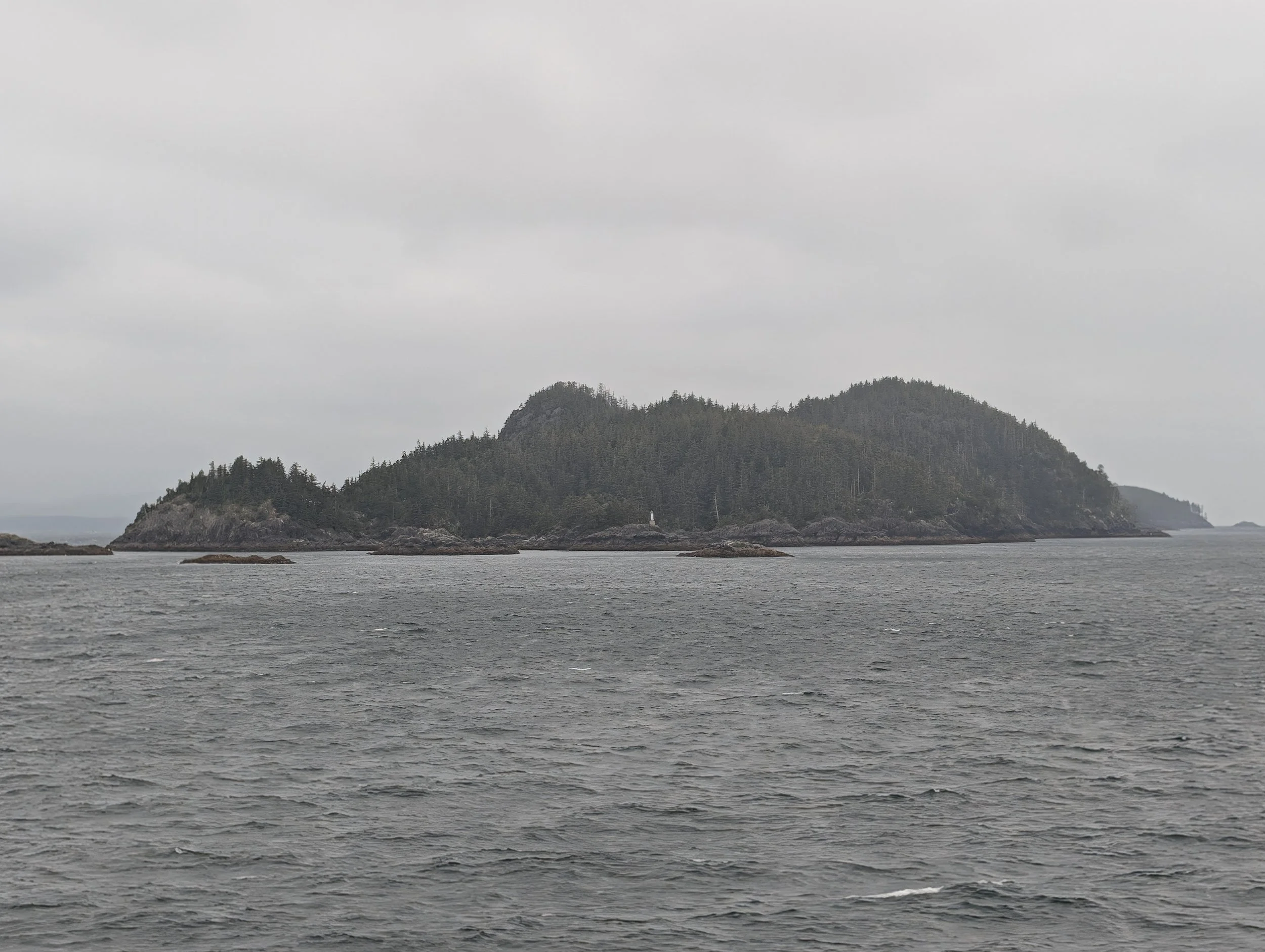 PXL_20260629_151539073.jpg