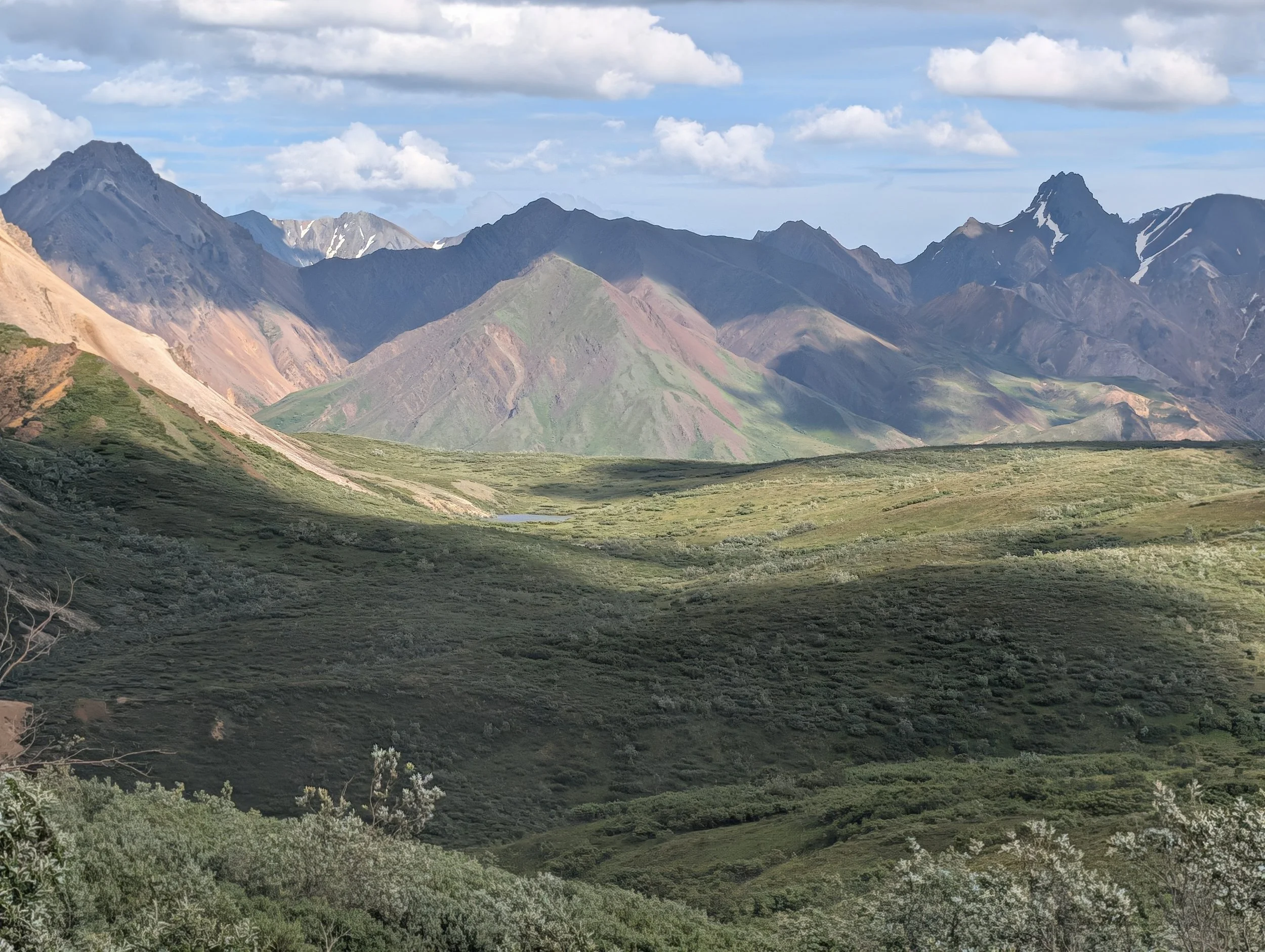 PXL_20260726_322328958.jpg