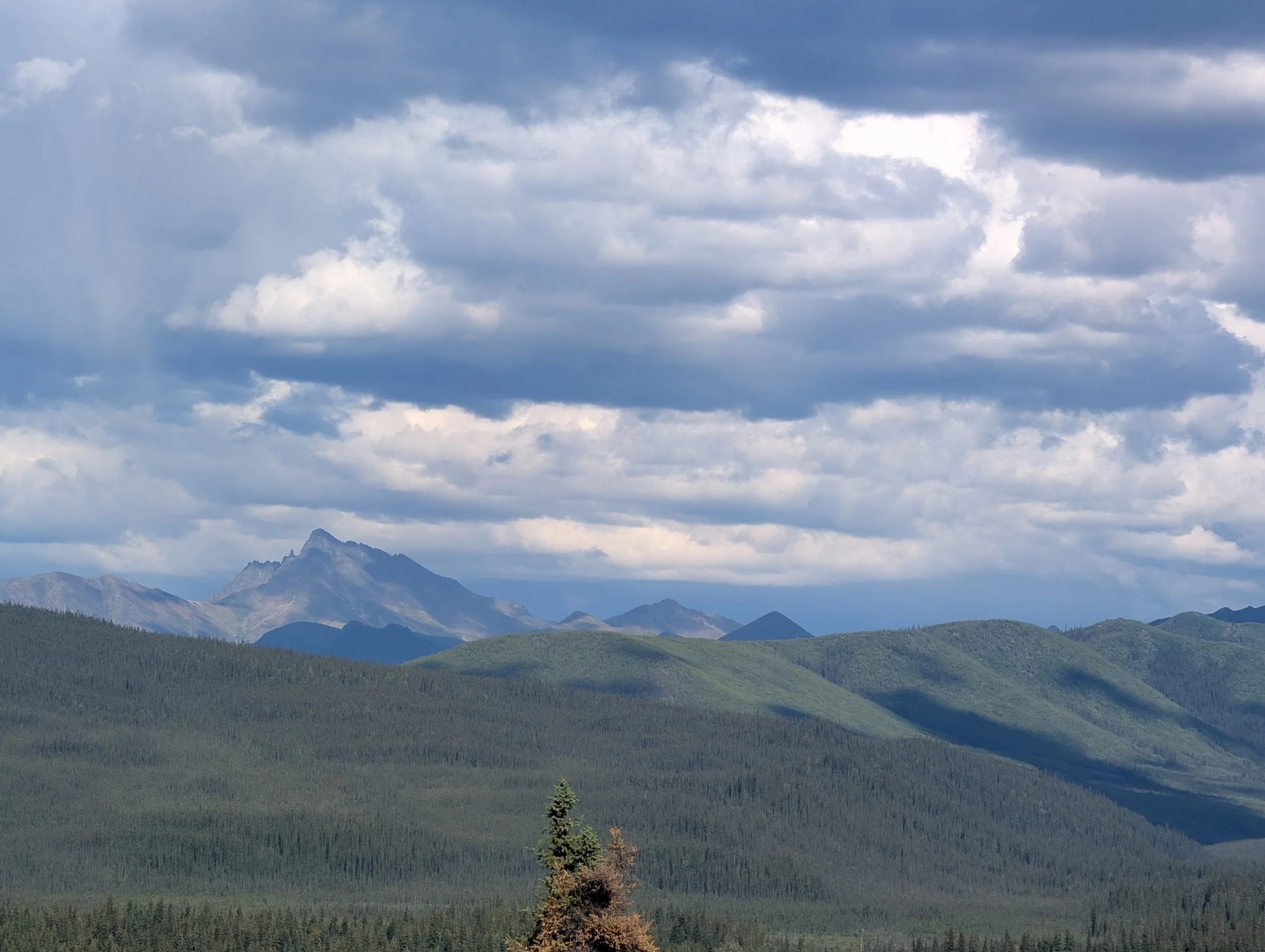 PXL_20260807_233324738.jpg