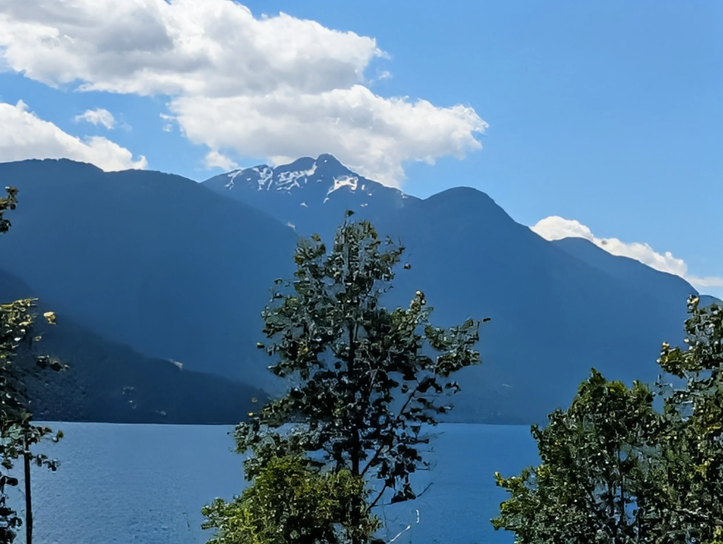 PXL_20260617_213549534~2.jpg