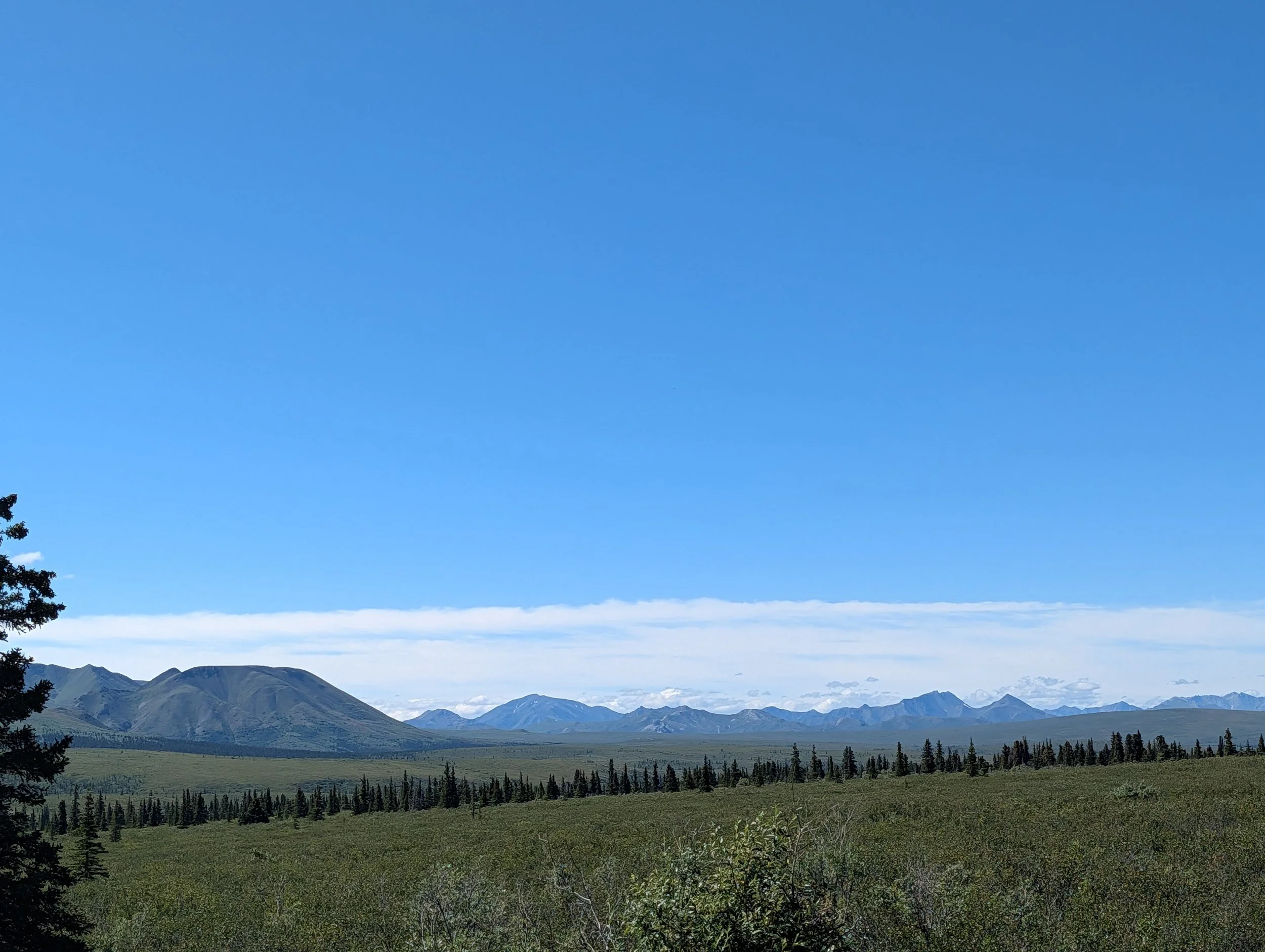 PXL_20260725_215457241.jpg
