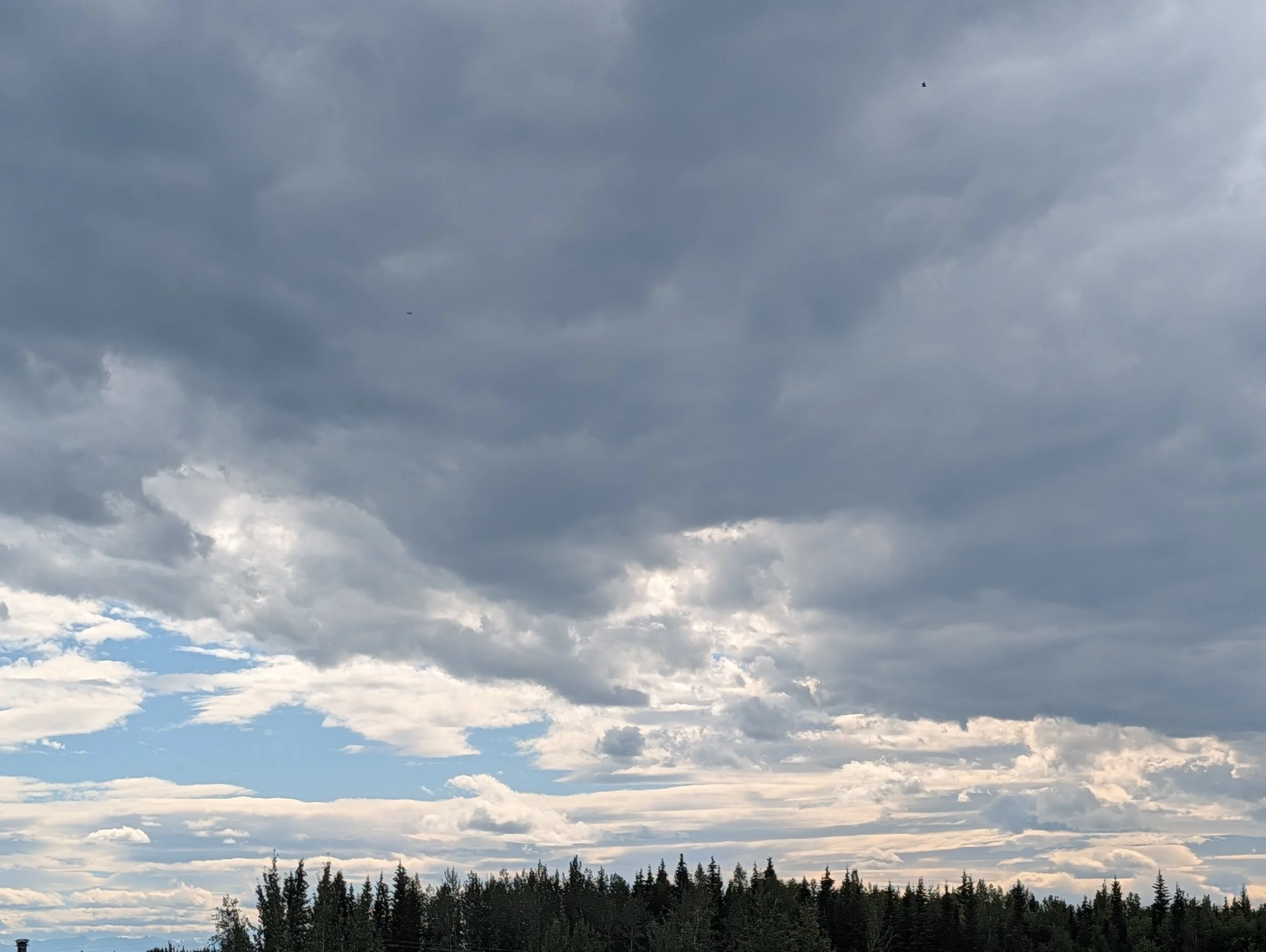 PXL_20260804_222409775.jpg
