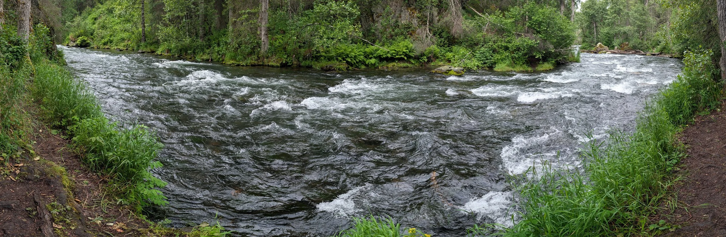 PXL_20260718_214433838.PANO.jpg