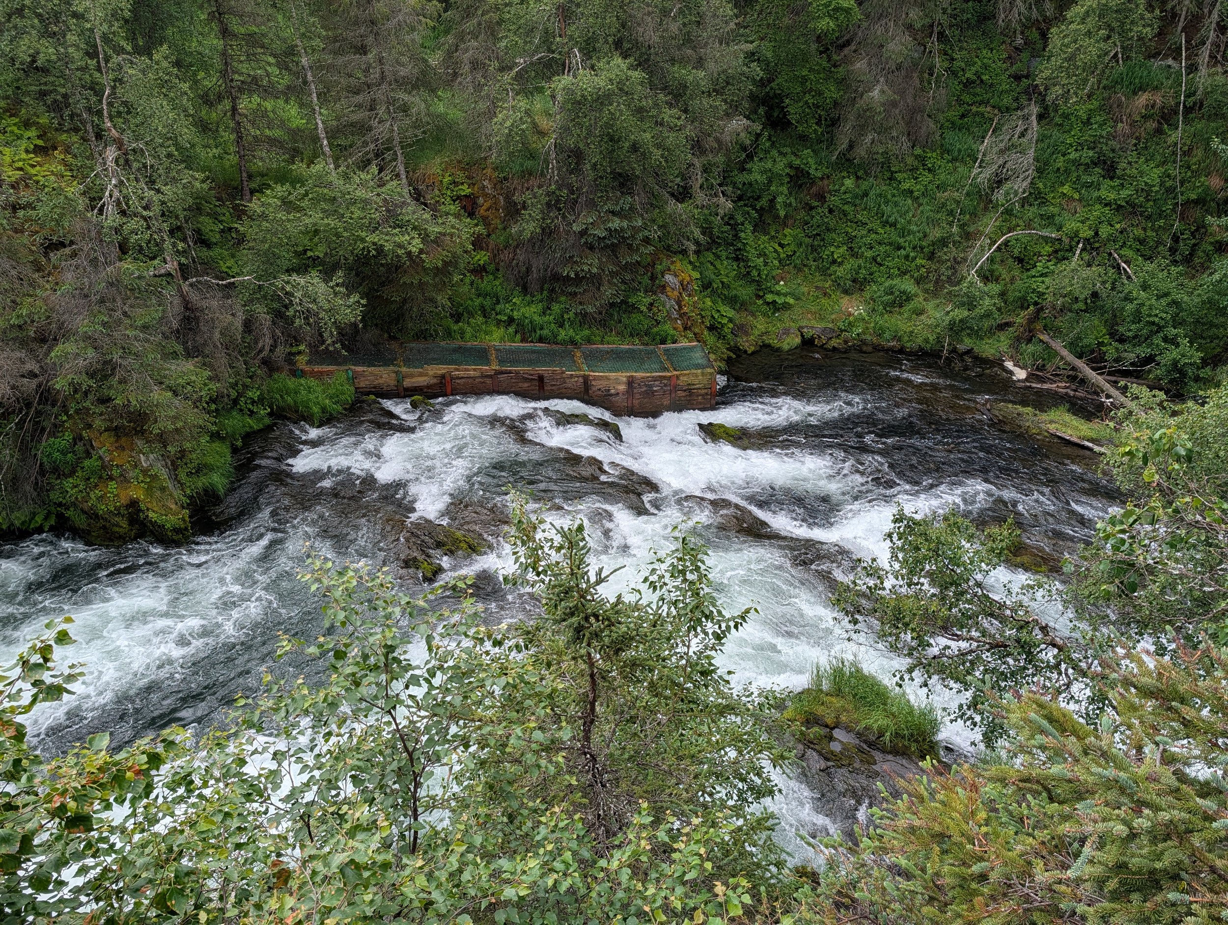 PXL_20260718_212354452.jpg