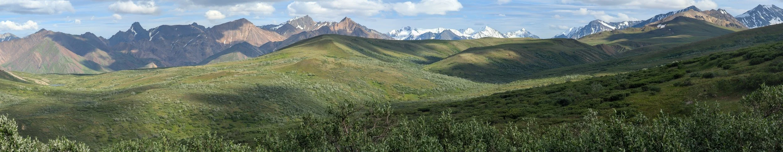 PXL_20260726_322601887.PANO.jpg