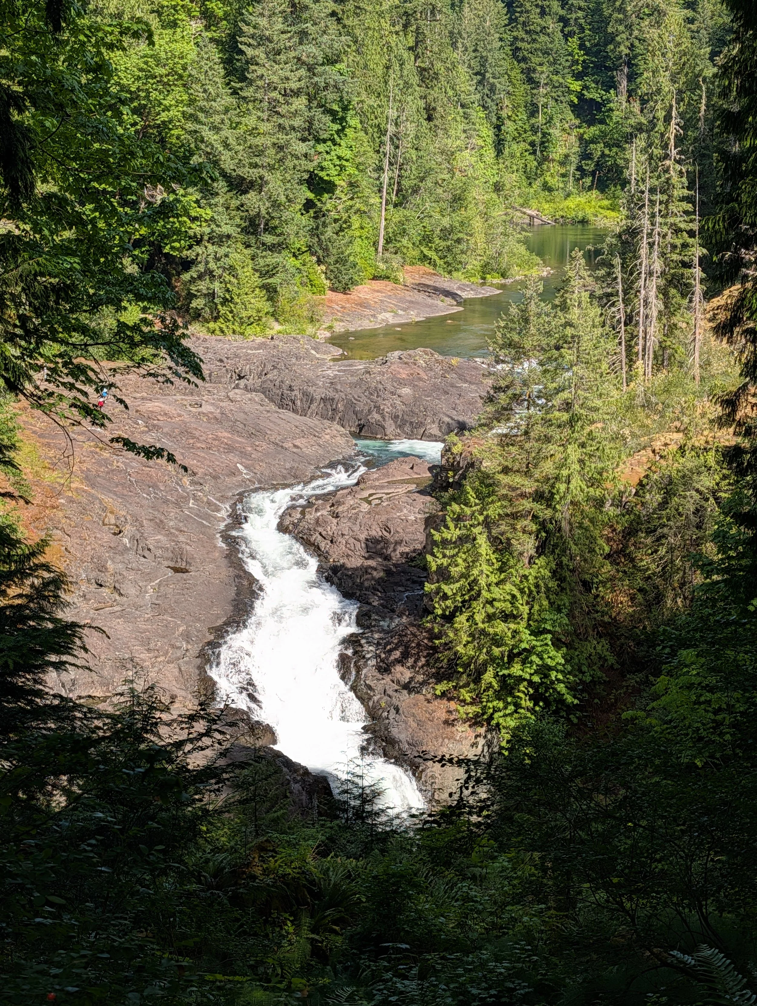 PXL_20260622_173140638.jpg