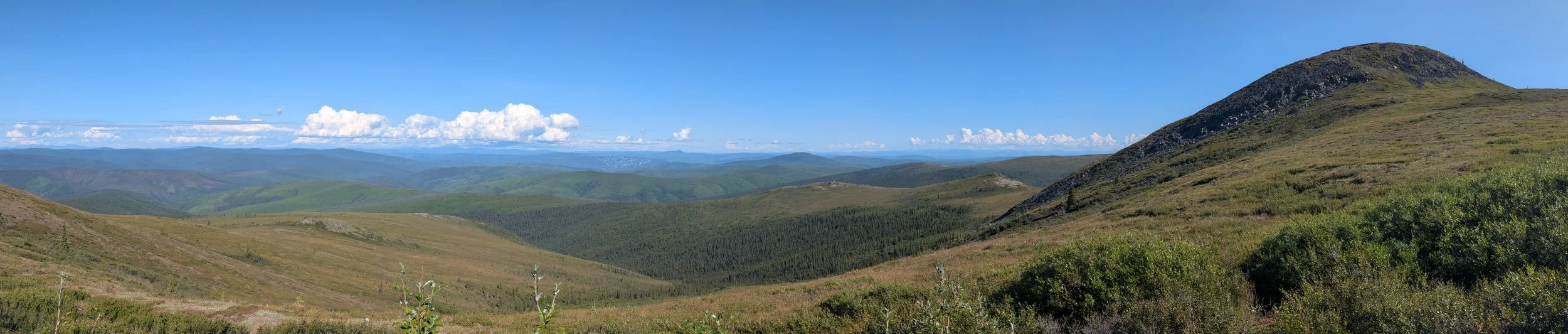 PXL_20260807_192109454.PANO.jpg