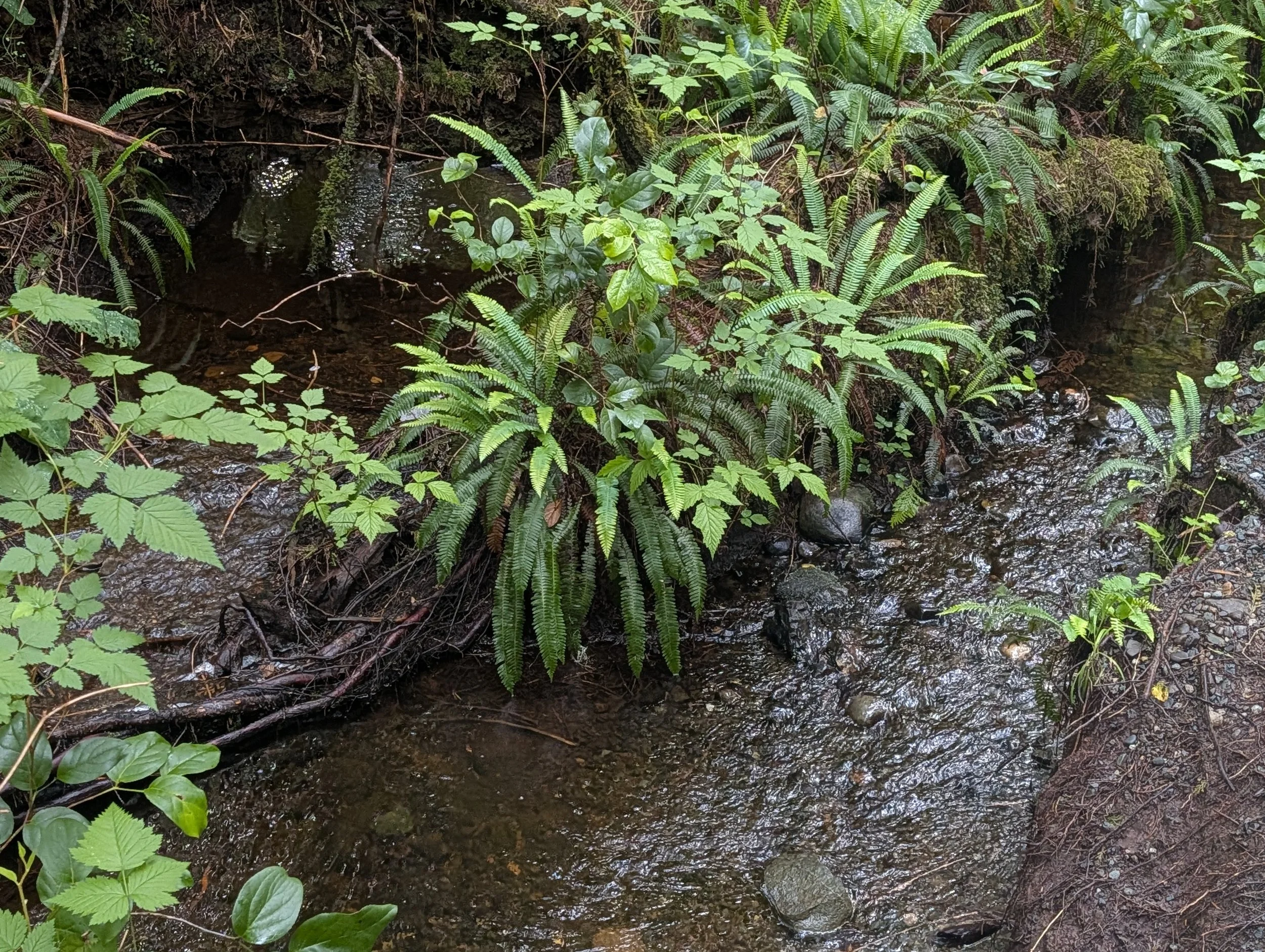 PXL_20260627_232904116.jpg