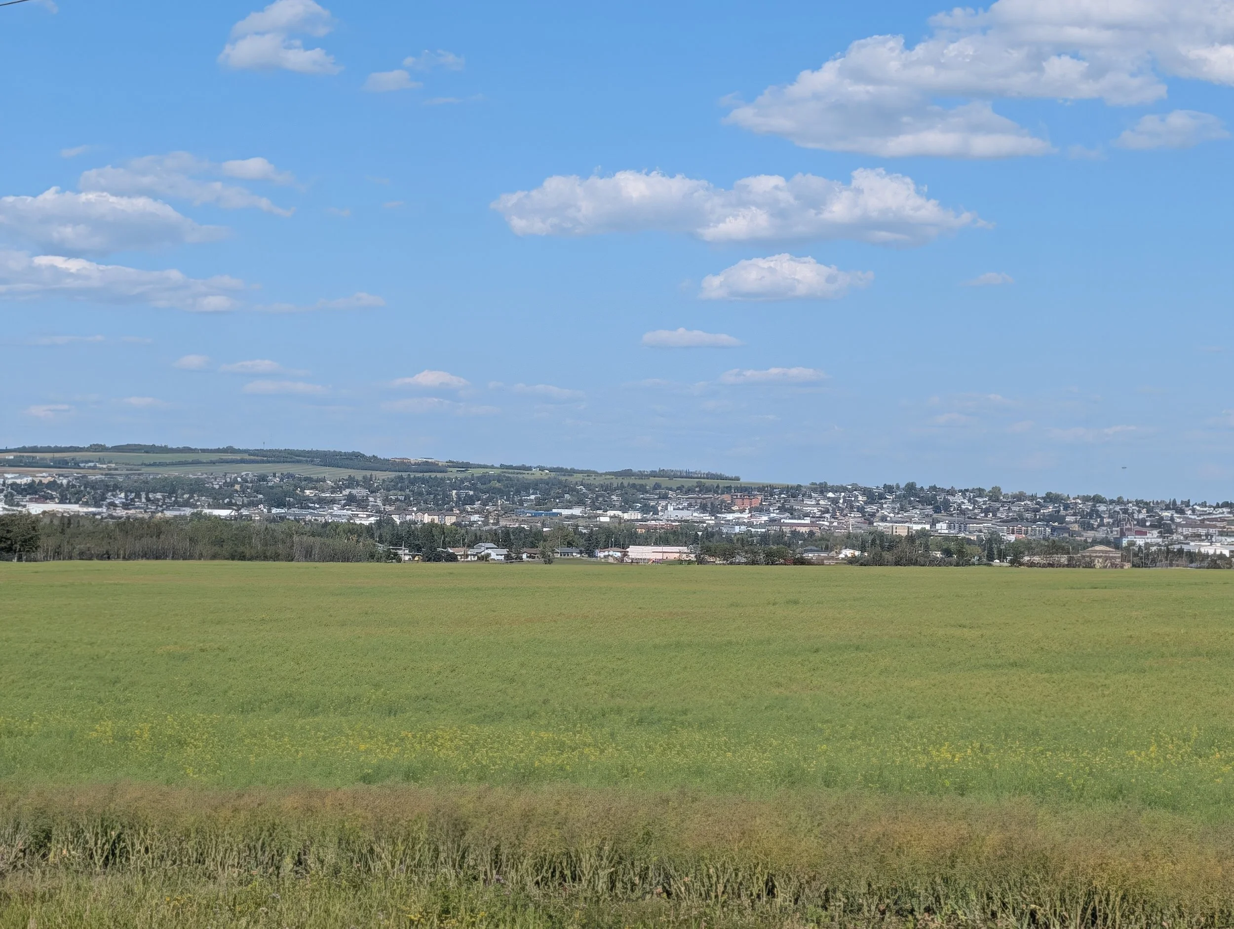 PXL_20260821_224830201.jpg