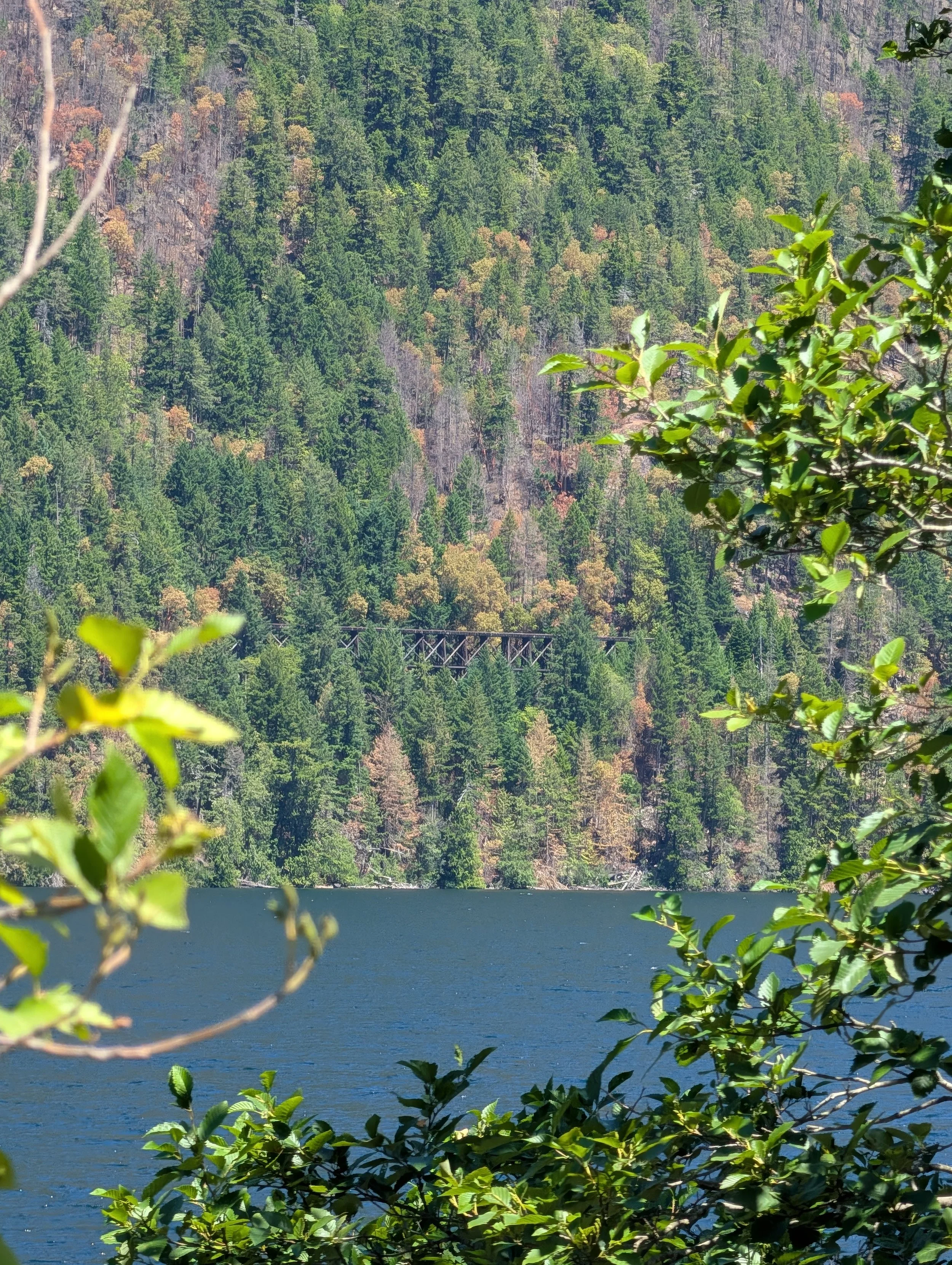 PXL_20260618_195301098.jpg