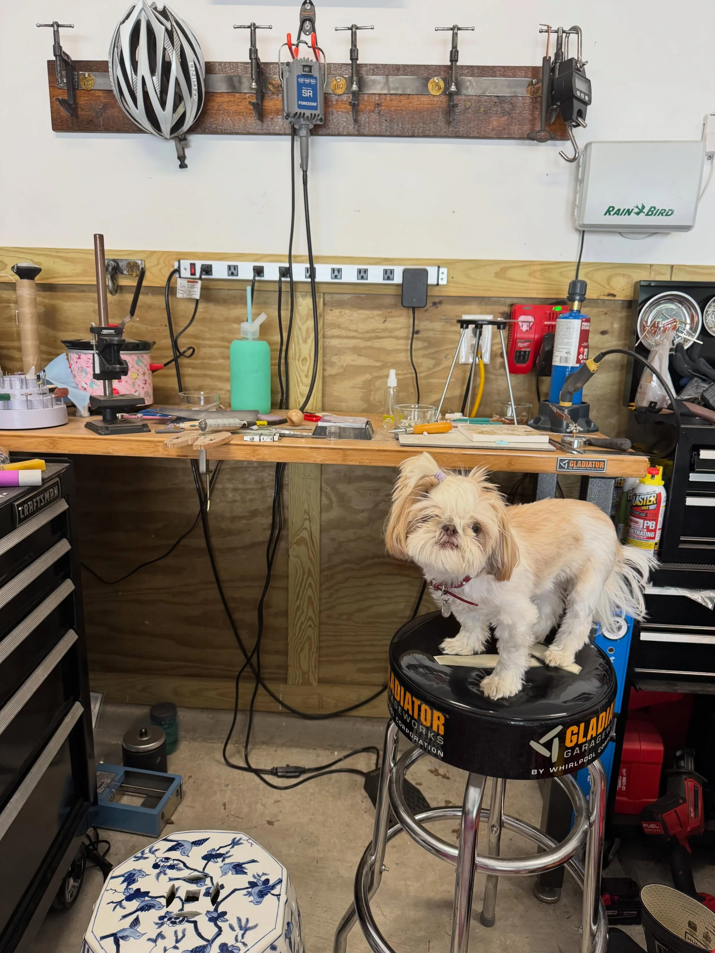 Ruby joined me at the bench today and she is not pleased (it&rsquo;s more to do with her sensing the impending rain than silversmithing with mom). Let&rsquo;s let this be the &ldquo;before&rdquo; picture. My bench needs a little makeover. Stay tuned.