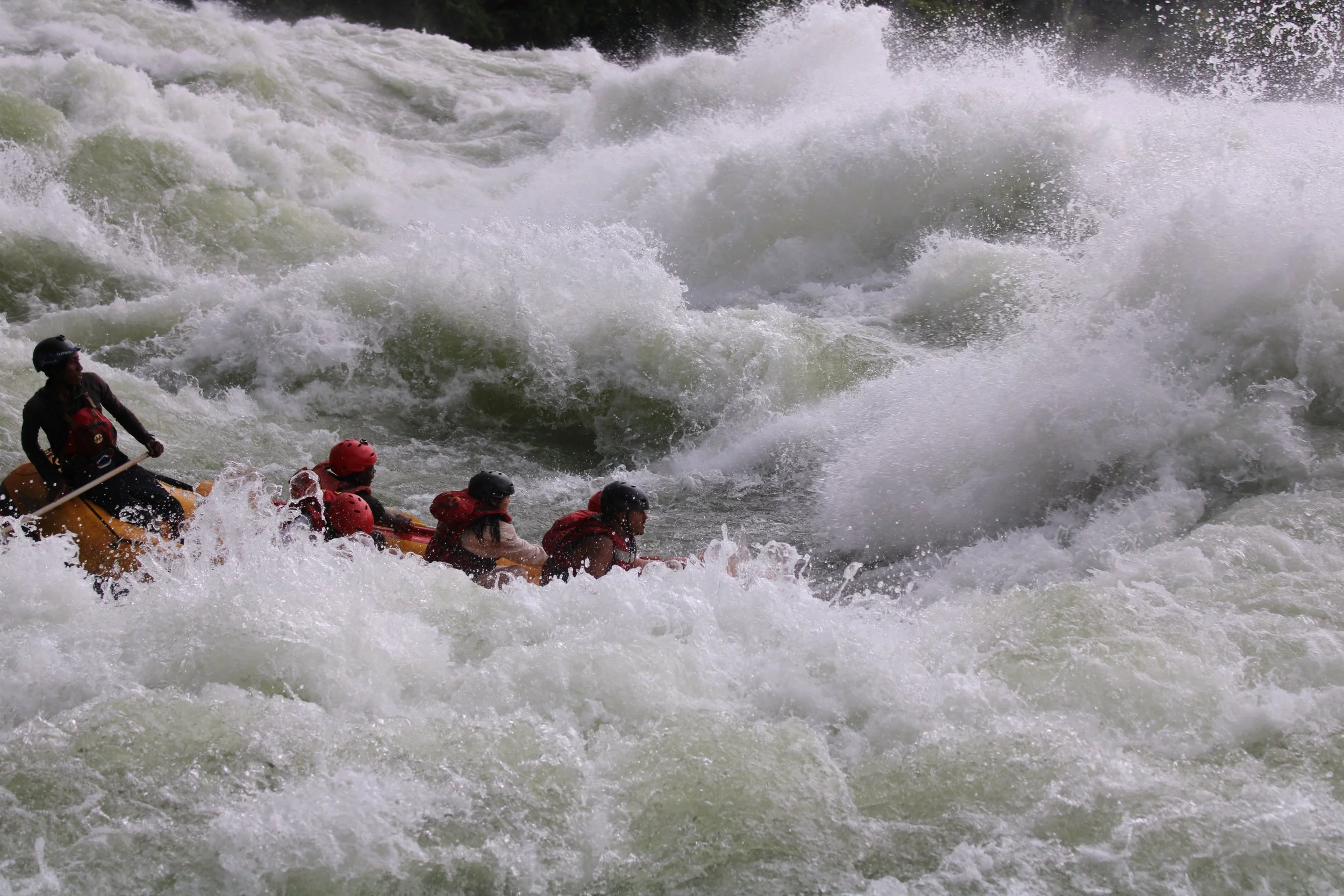 a255ca7c2442bf565495790948ecc235 2.JPG