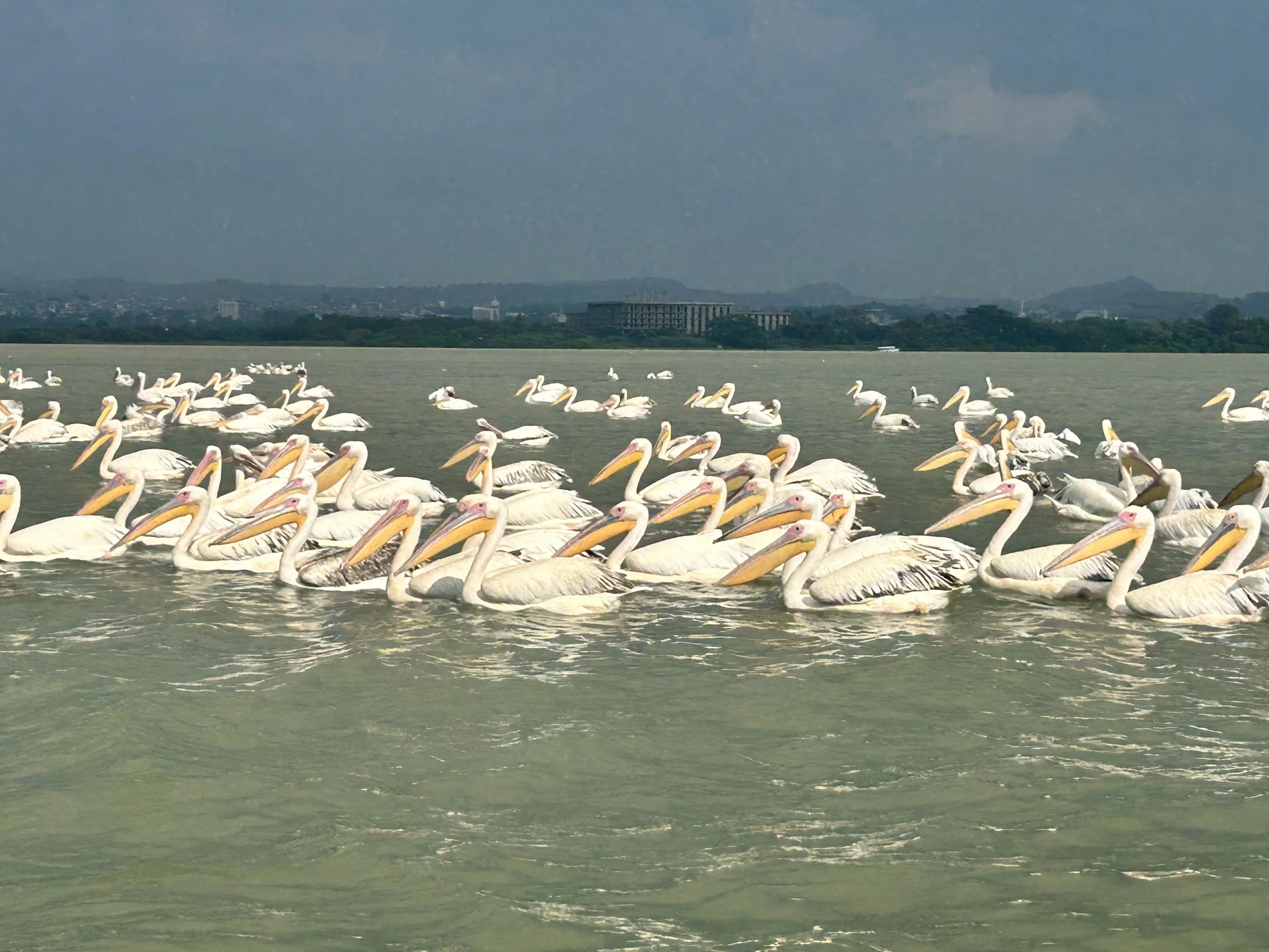 The Land of Origins - Ethiopia