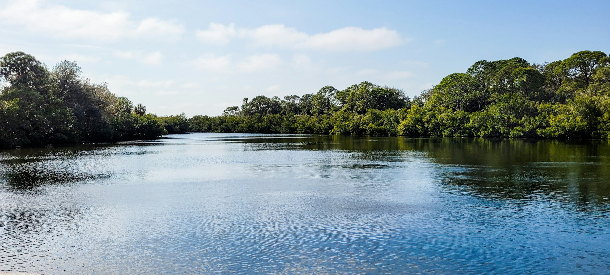 A river flowing through a lush green forest under a partly cloudy sky.